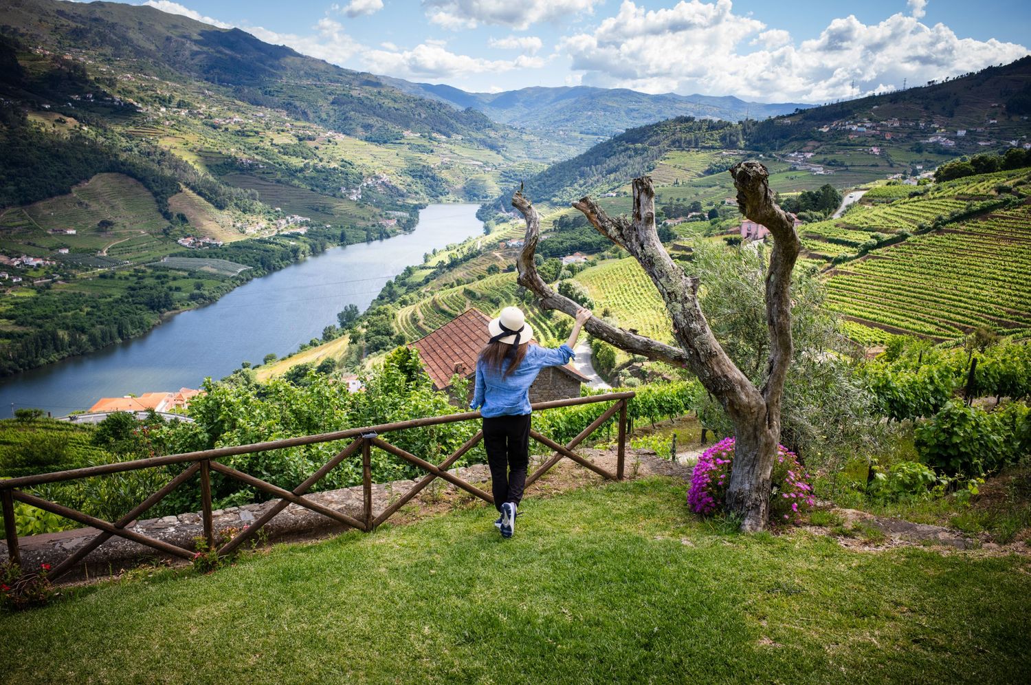 Woman in a sun hat overlooking the Douro Valley vineyards and river near Mesão Frio, Portugal, from a scenic hillside viewpoint.