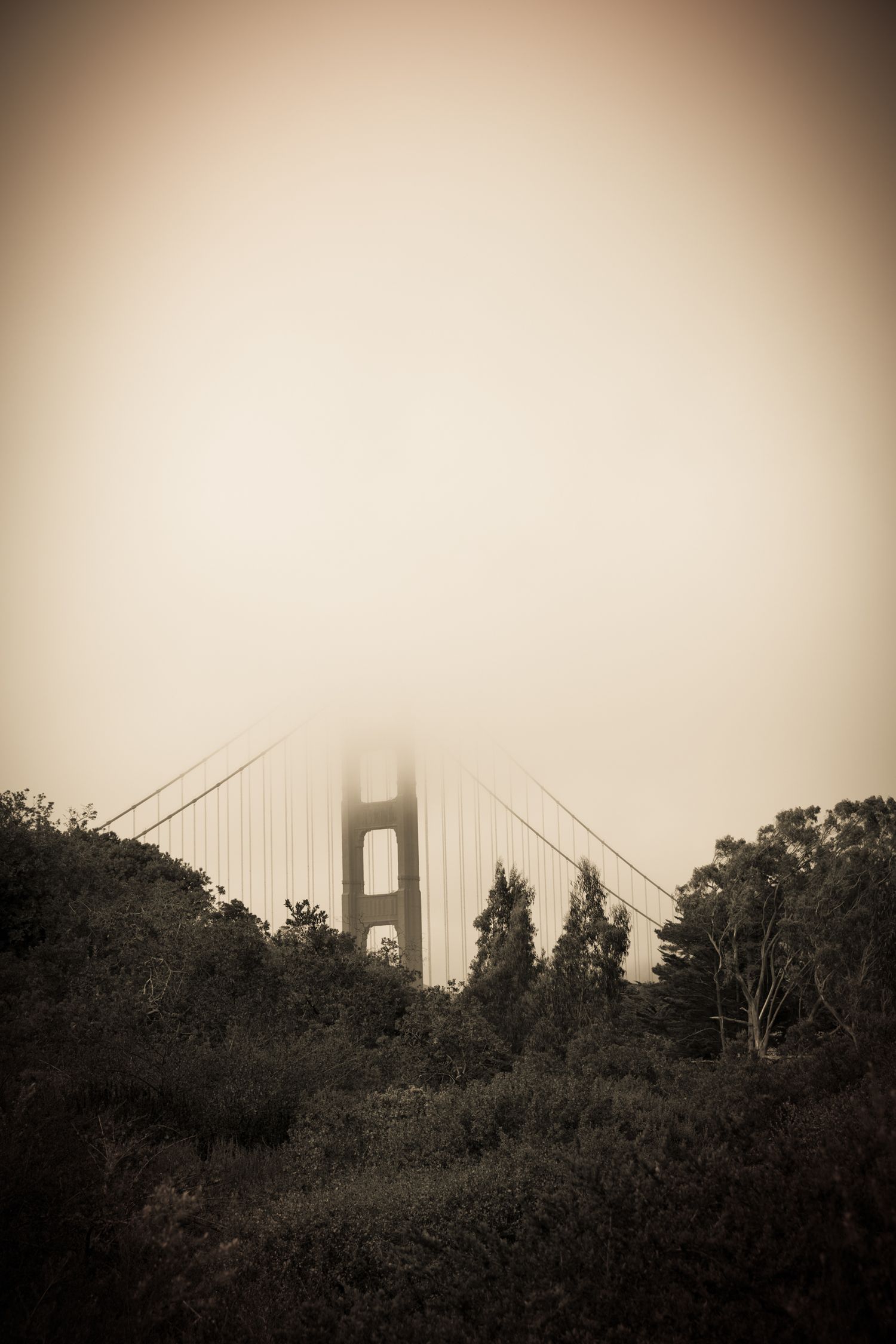 Golden Gate Bridge tower disappearing into dense fog above the Marin Headlands in San Francisco, captured as a sepia fine art photograph.