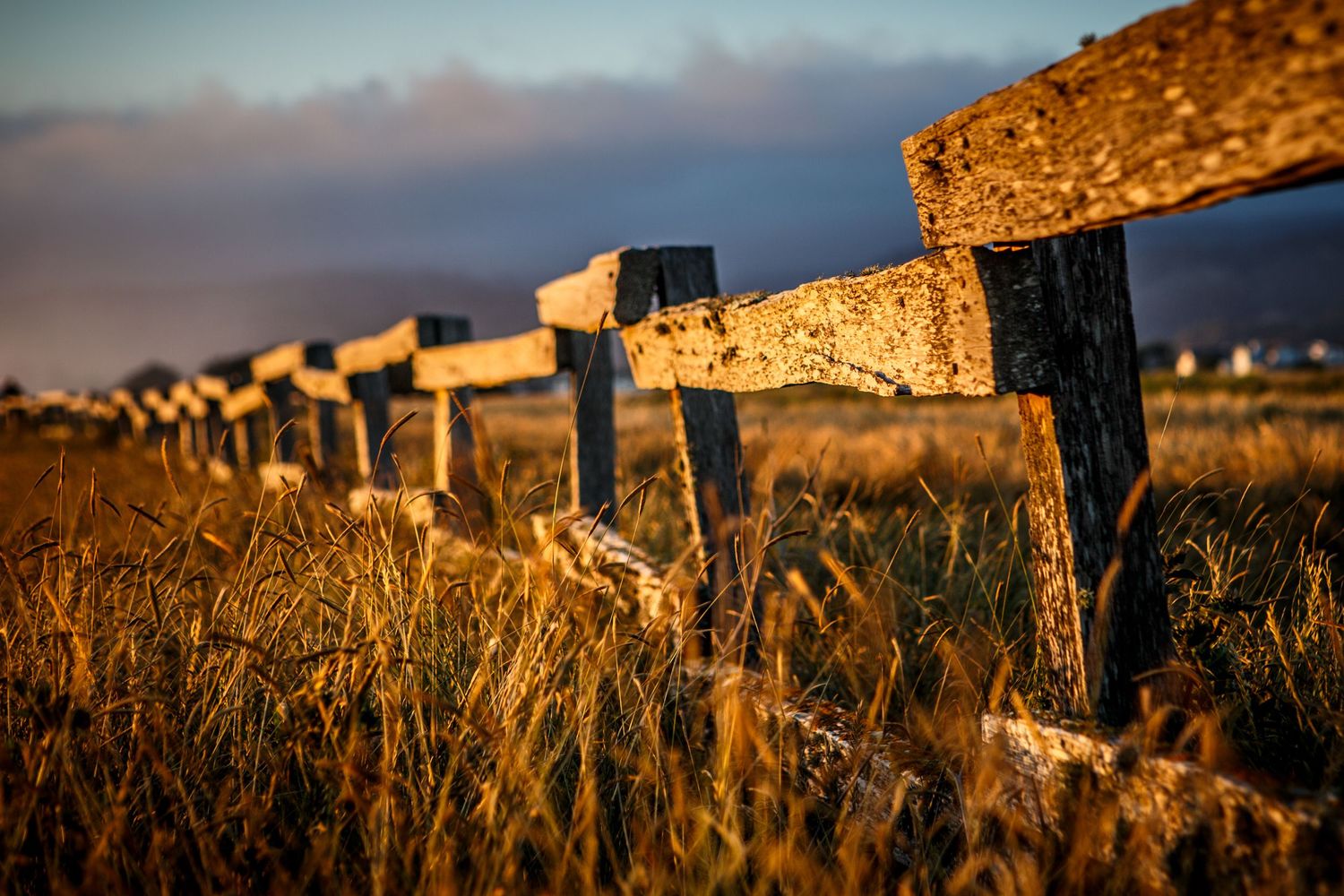 Weathered wooden fence glowing at golden hour in Half Moon Bay, California, with coastal grasses and marine fog in the distance.