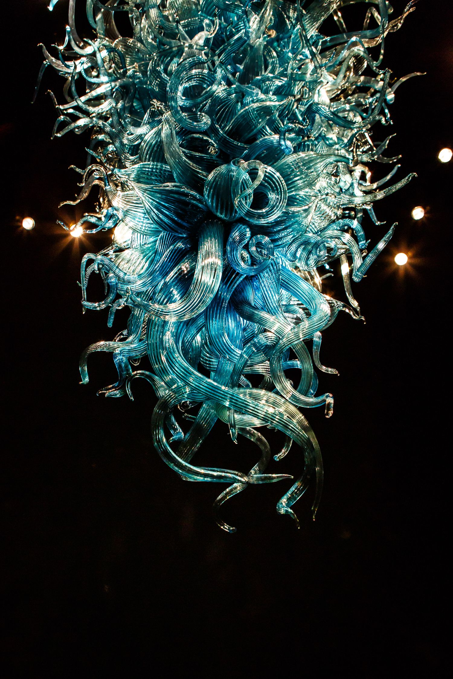 Abstract fine art photograph of a blue Dale Chihuly blown glass sculpture at Chihuly Garden and Glass, Seattle.