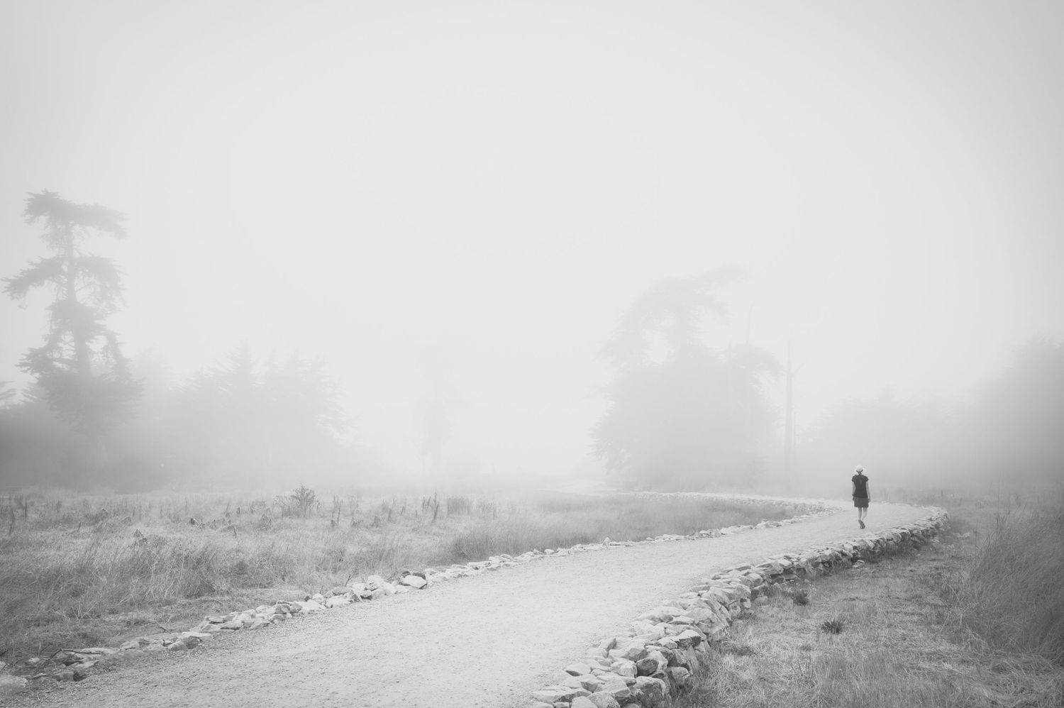 Woman in a hat walking along a foggy trail in Santa Cruz, California, creating a serene, minimalist landscape in The Hat Series.