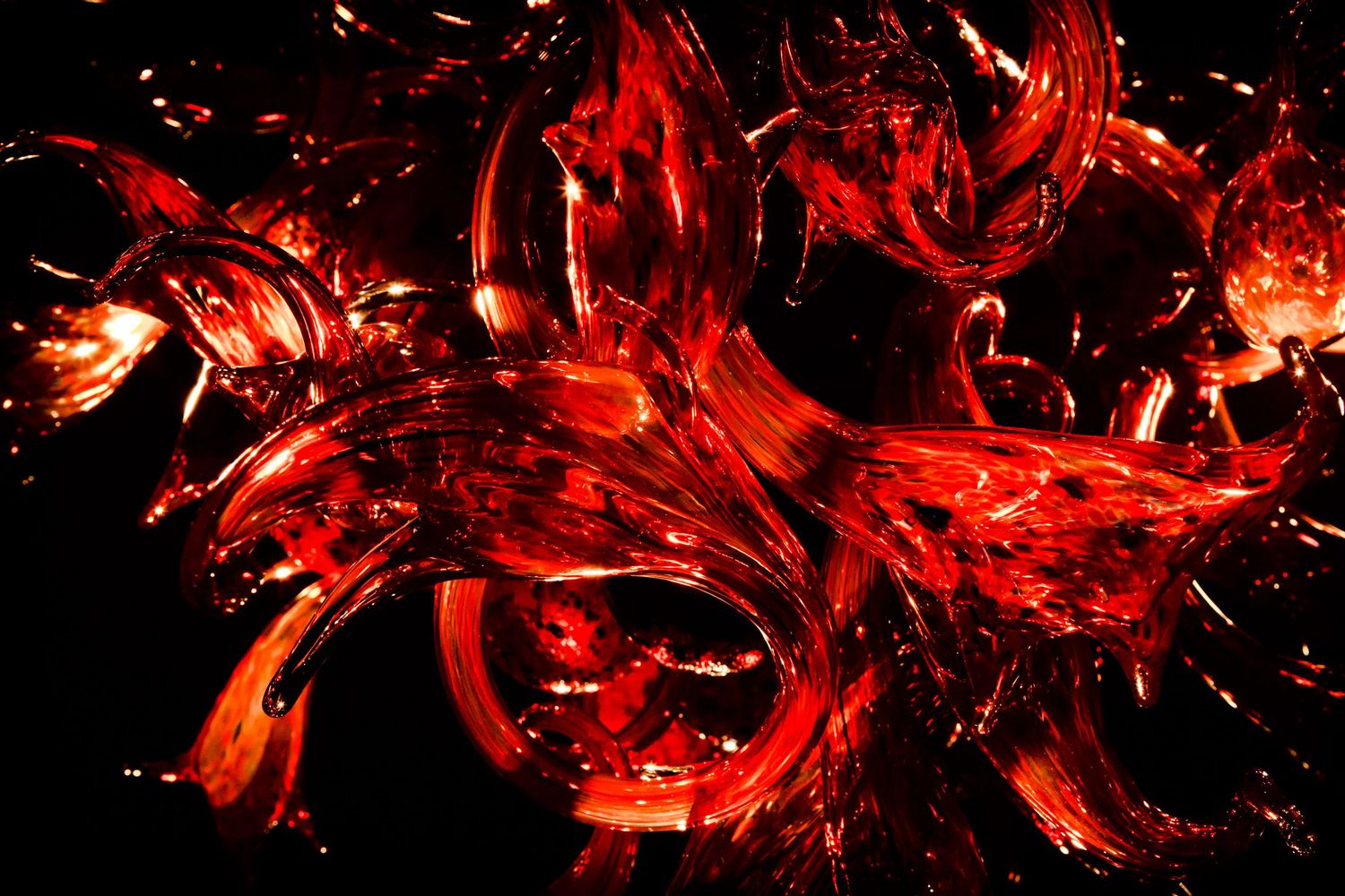 Fine art photograph of vibrant red Chihuly blown glass sculpture glowing with dramatic light at Chihuly Garden and Glass, Seattle.