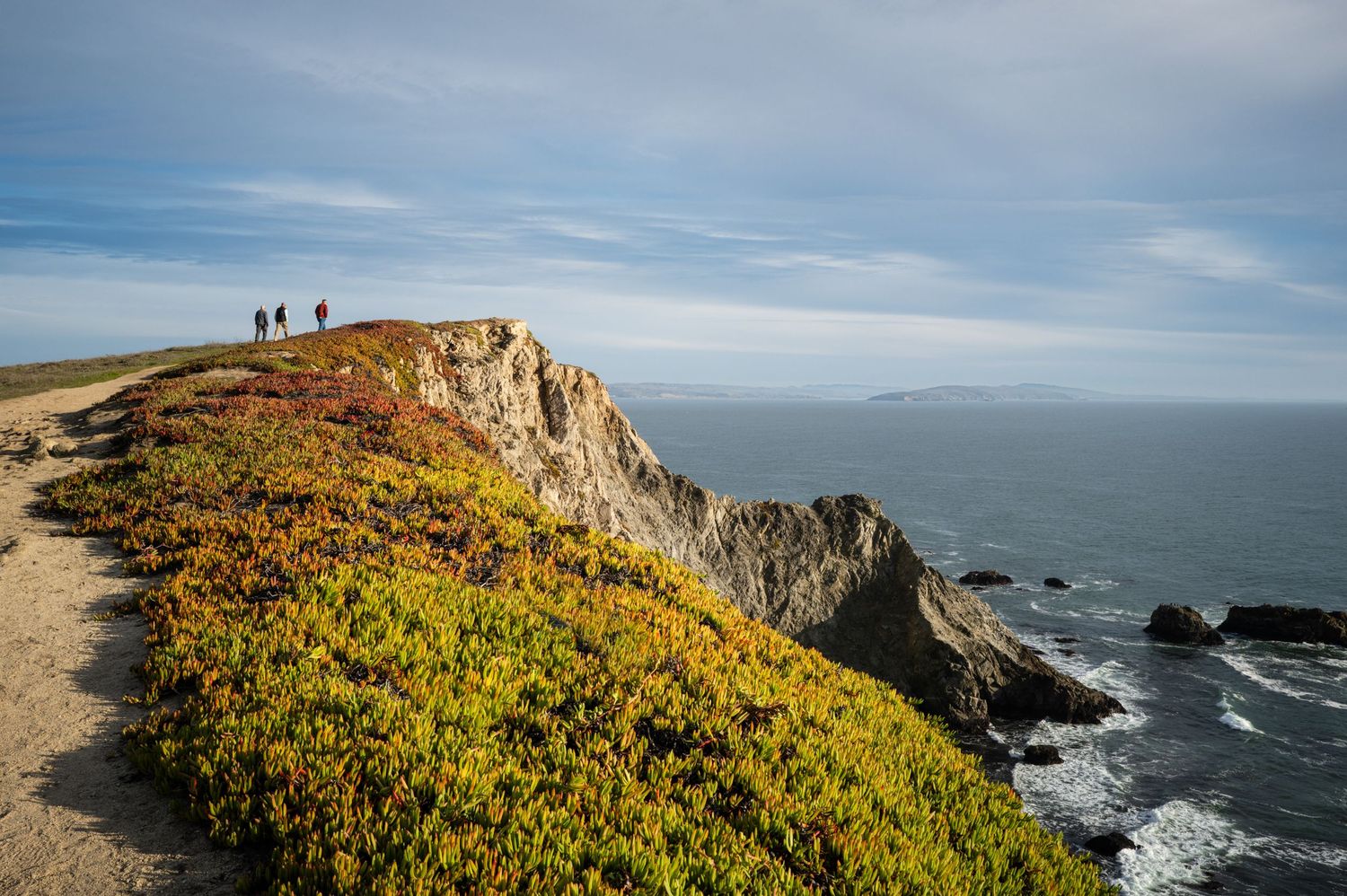 Hikers overlooking dramatic sea cliffs and colorful coastal bluffs at Point Reyes National Seashore, California.