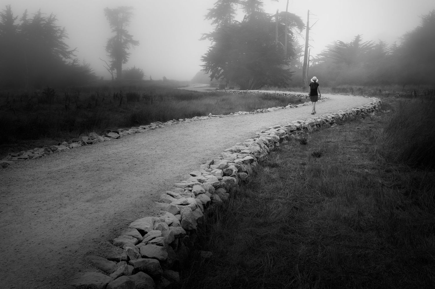 Woman in a white hat walking a foggy Santa Cruz coastal trail in black and white, part of The Hat Series exploring quiet journeys.
