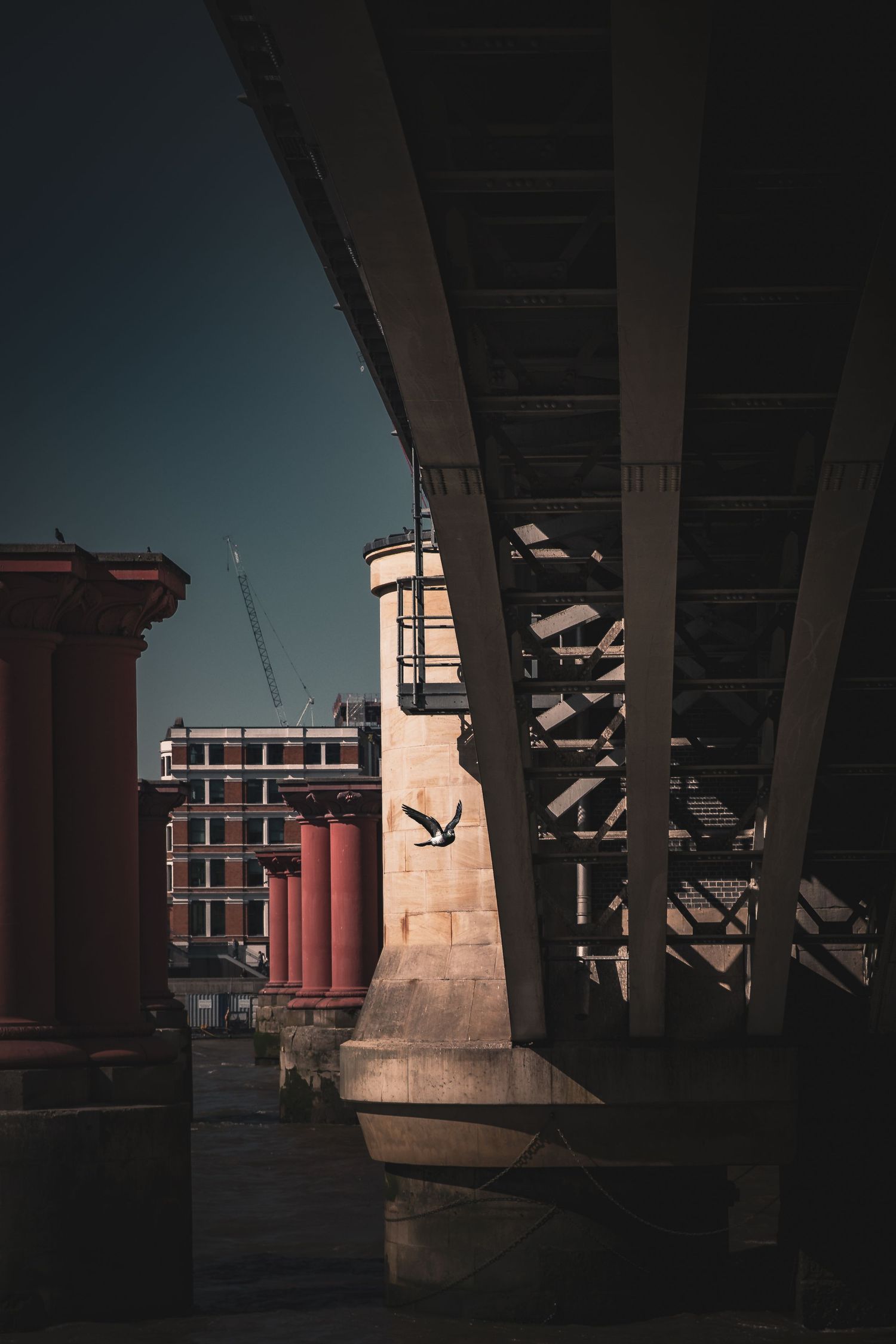 London, bird, bridge, street, photography