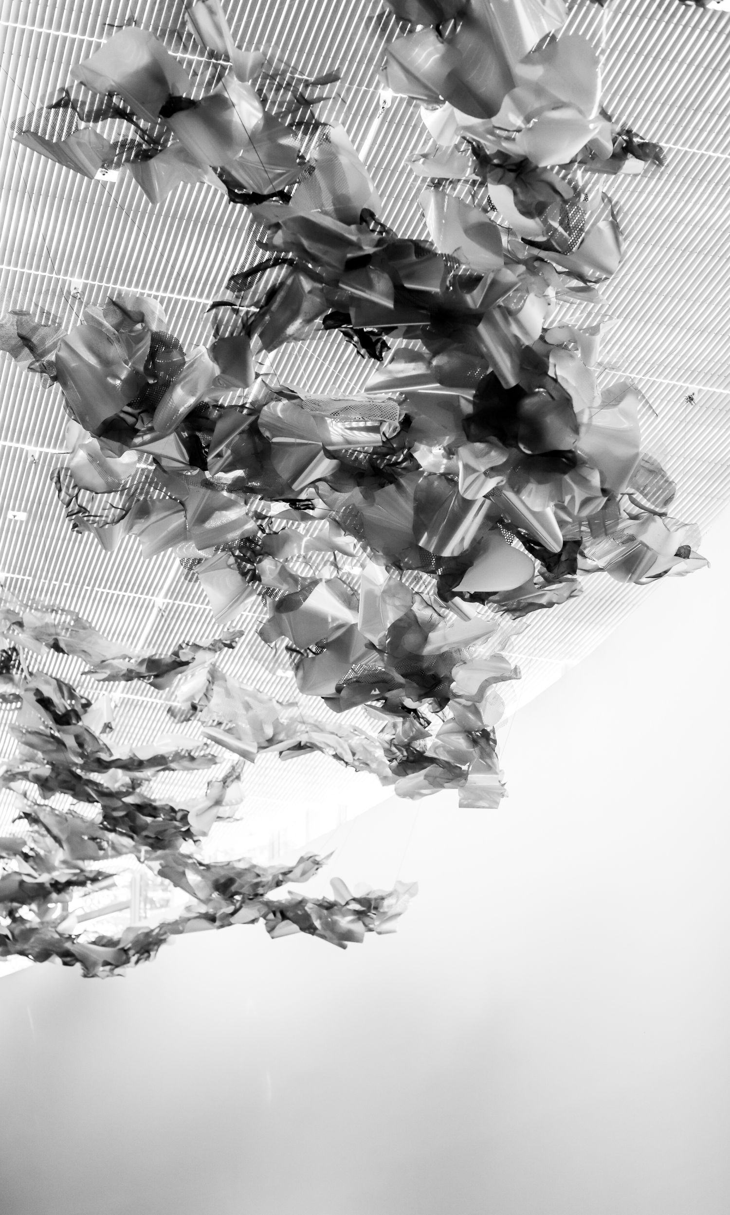 clouds, cranes, nagasaki, atom bomb, nuclear war,