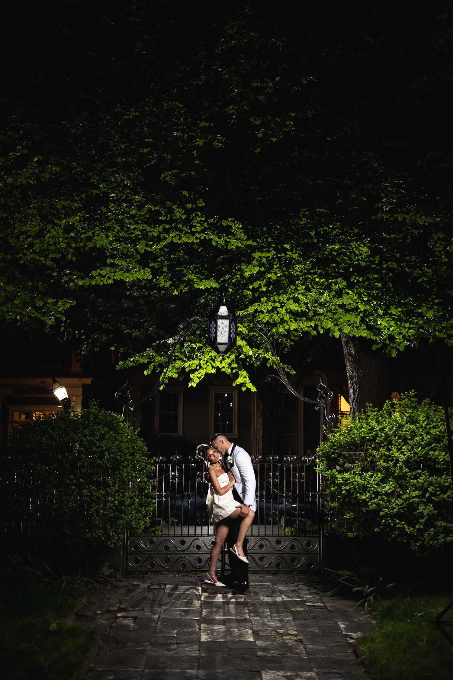 Dramatic nighttime garden portrait illuminated by outdoor lighting.