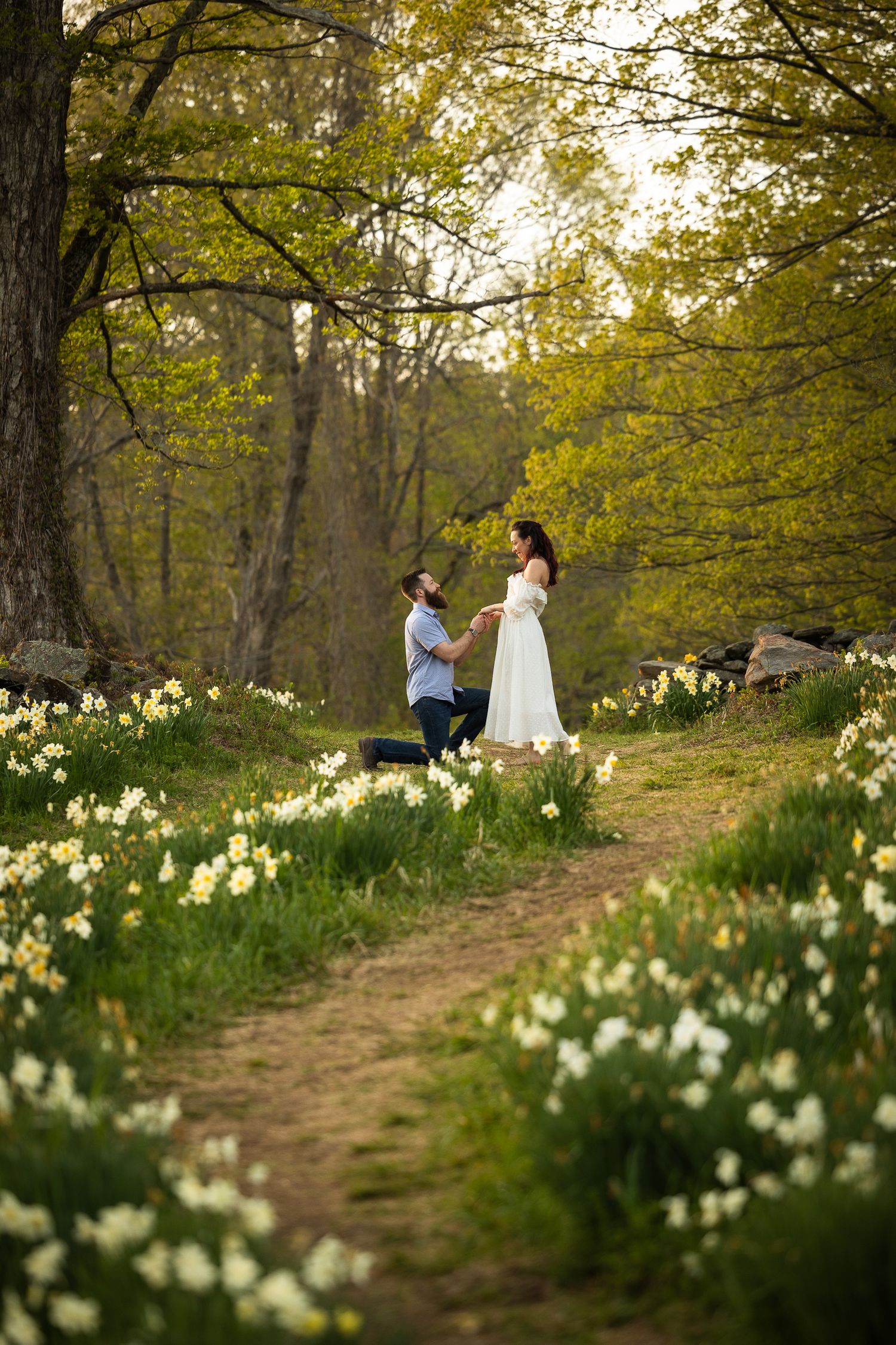 A couple walks along a wooded path lined with blooming white daffodils in a springtime forest setting.