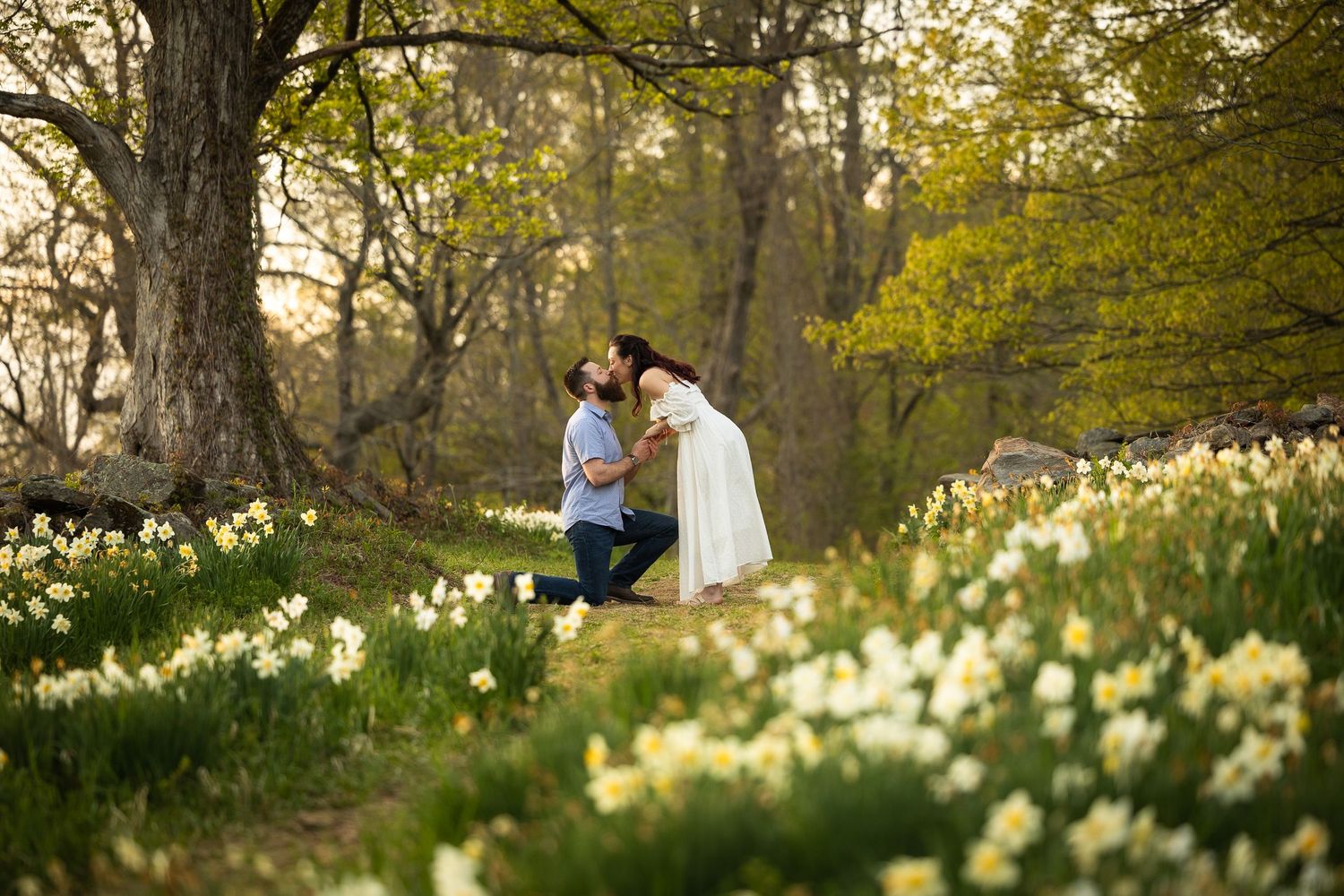 A couple poses in a dreamy spring meadow filled with blooming white daffodils during golden hour.