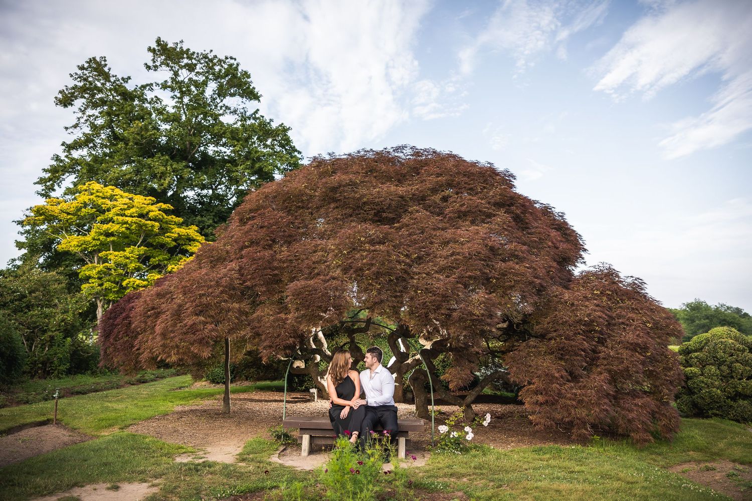 Panoramic view of a lush garden landscape with blooming trees and winding pathways under blue sky.