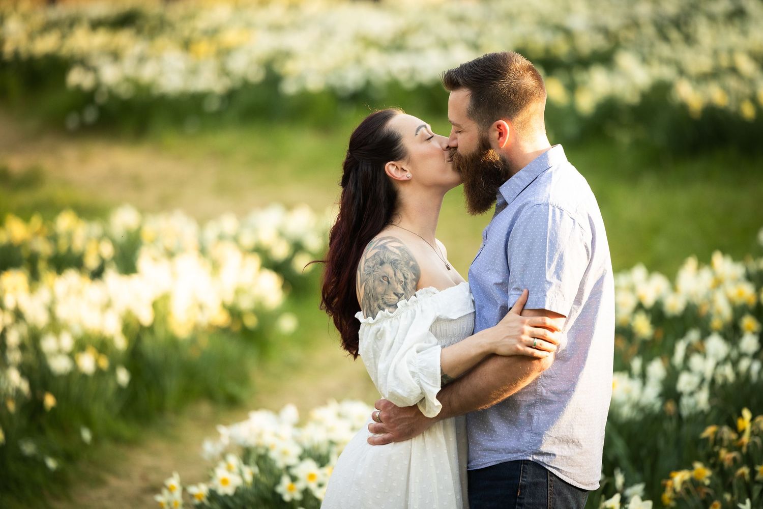 A romantic couple embraces in a sunny spring meadow filled with blooming yellow daffodils.