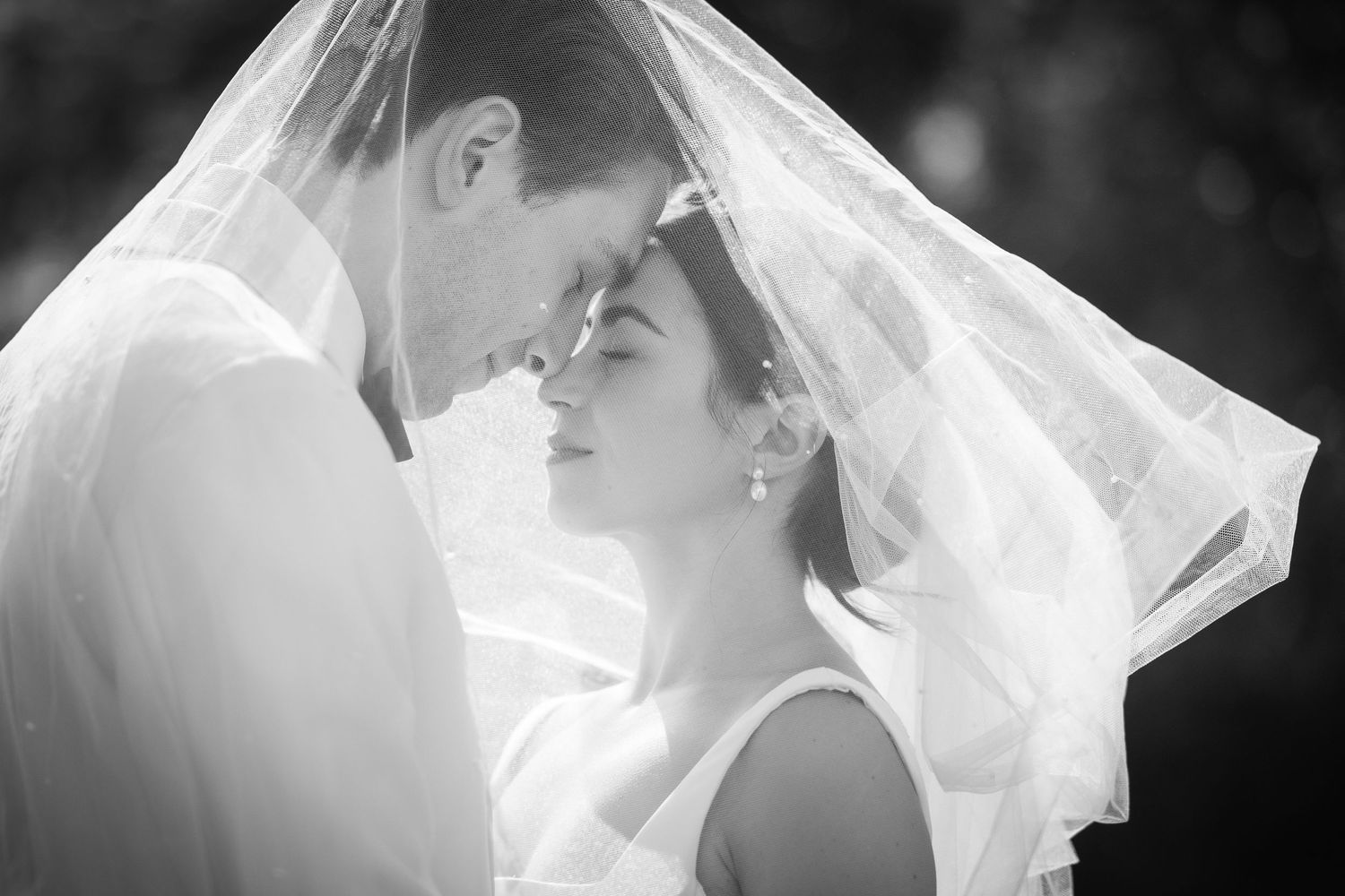 A romantic black and white wedding photo of a couple sharing an intimate moment under a flowing veil.