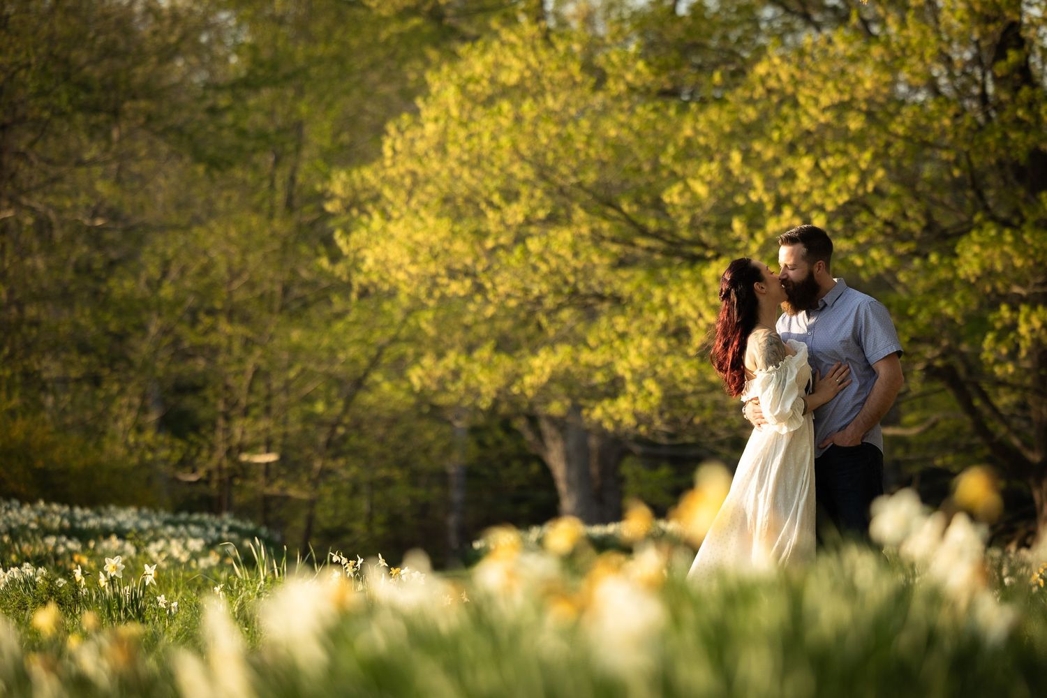 A couple shares a romantic moment in a spring garden with blooming yellow forsythia bushes at sunset.