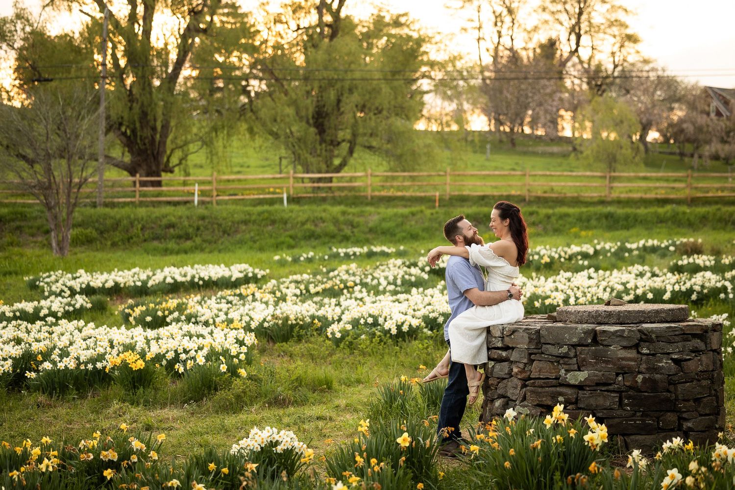 Couple embracing in a spring garden filled with blooming daffodils during golden sunset light.
