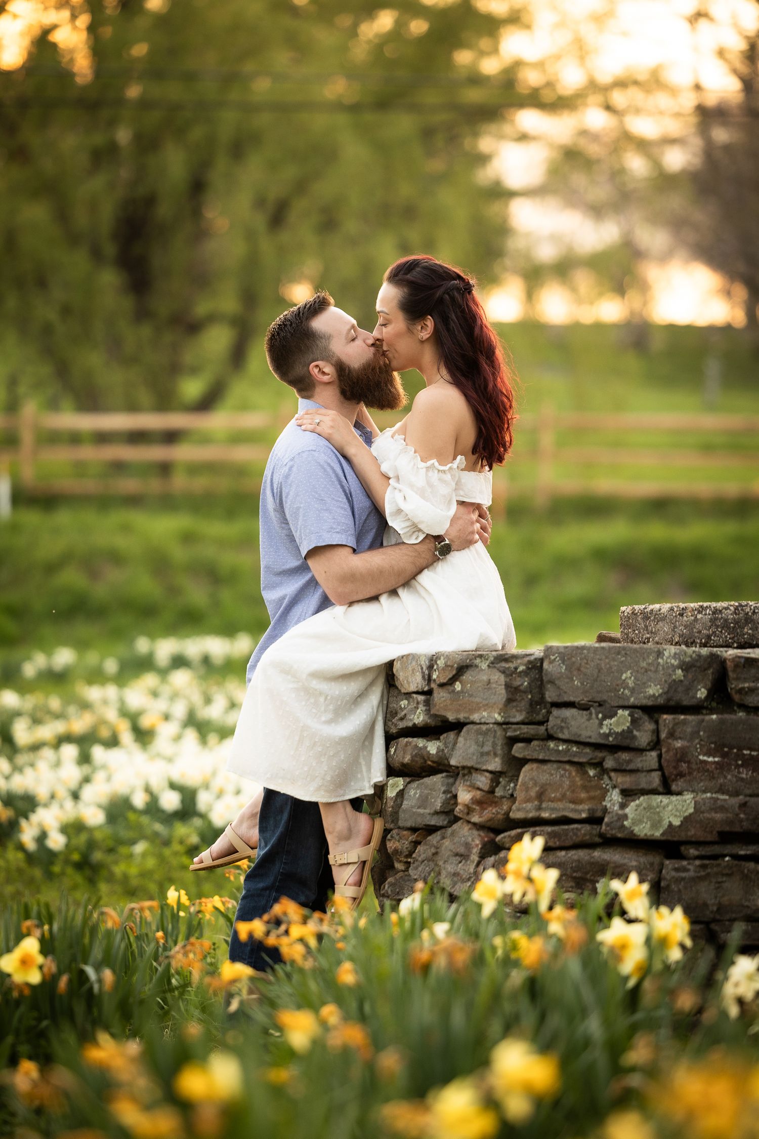 A romantic couple embraces by a stone wall with blooming yellow daffodils in a spring garden at sunset.