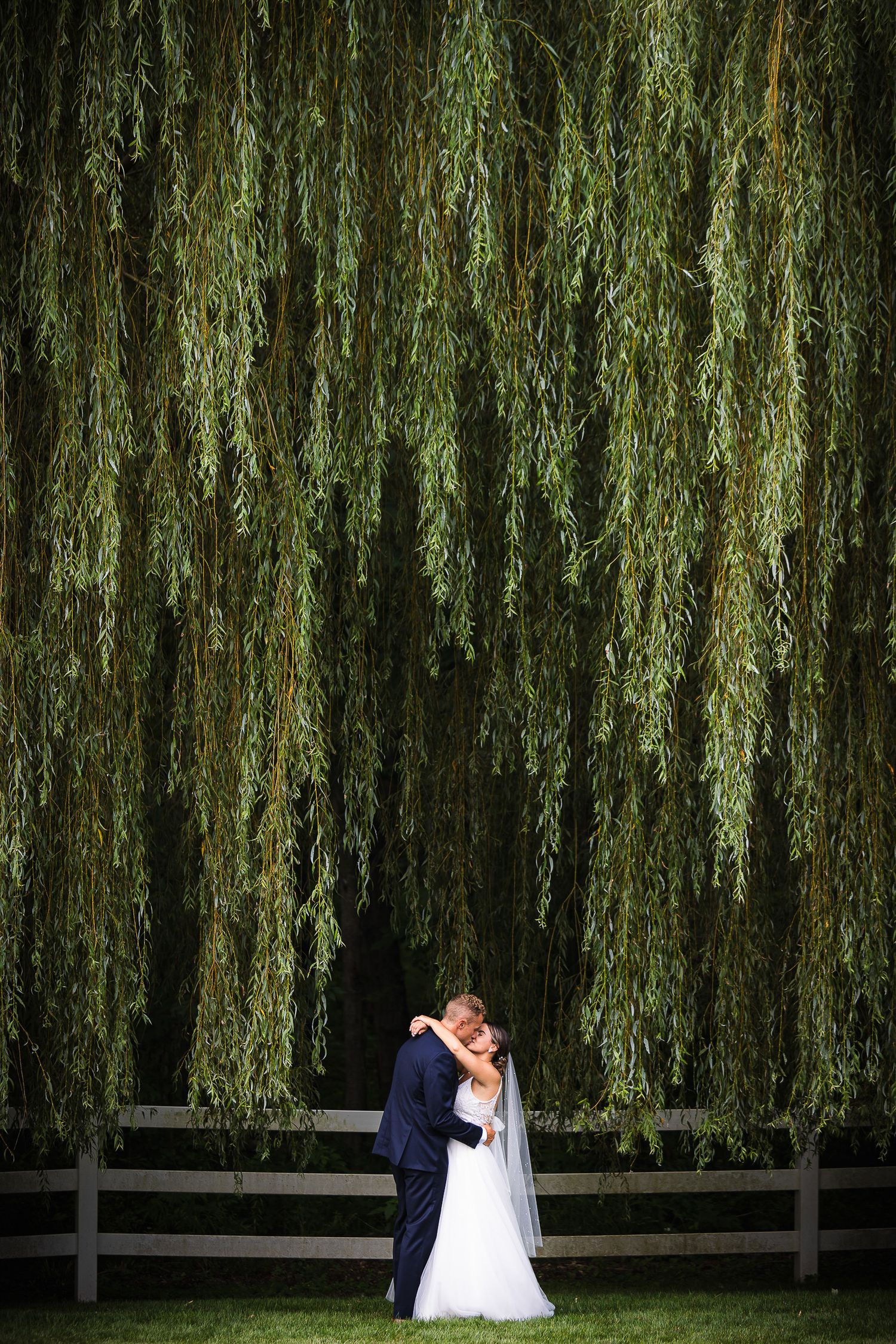 A couple shares a romantic moment under cascading willow trees in an outdoor wedding setting.