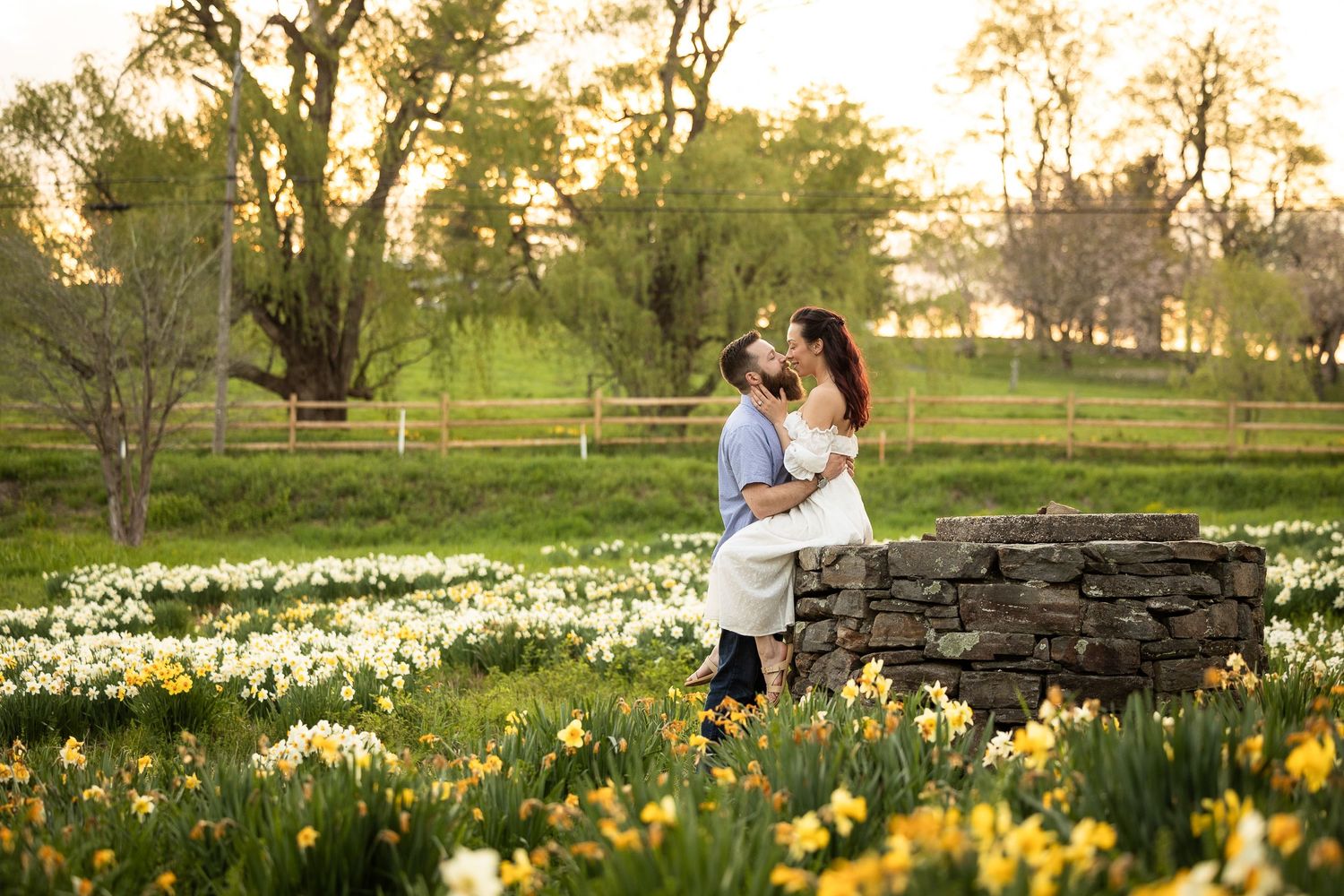 A couple embraces in a scenic spring garden filled with blooming yellow and white daffodils at sunset.