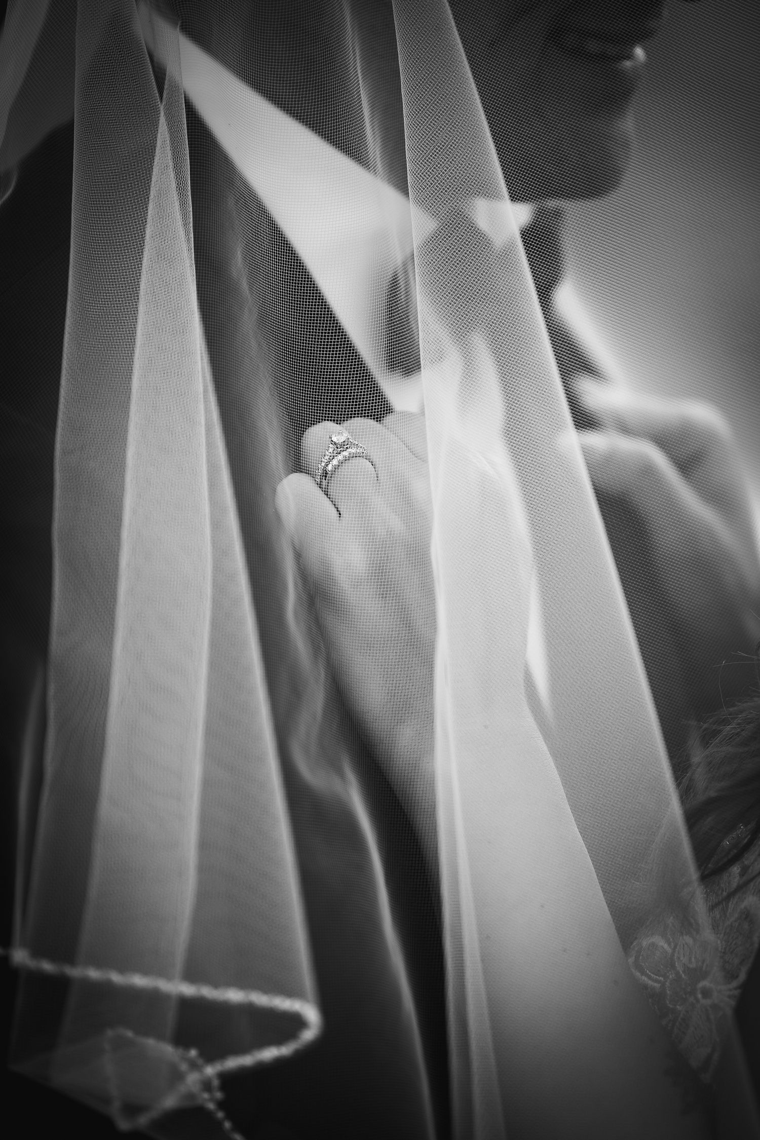 A black and white close-up photograph of sheer fabric or tulle creating soft, ethereal folds and textures.