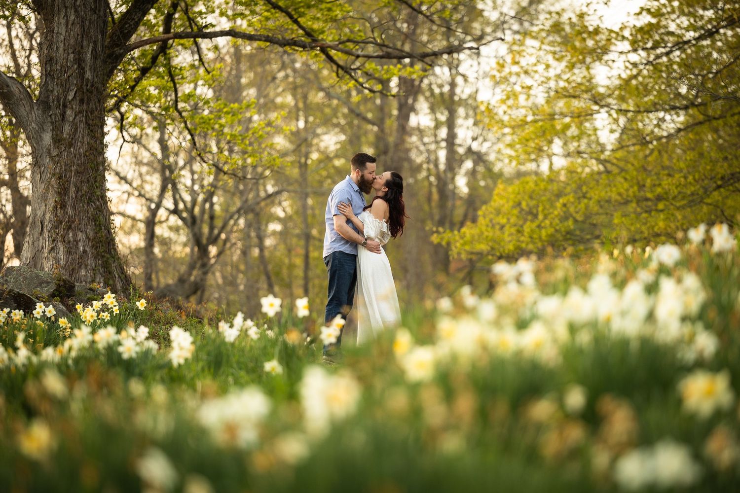 A couple embraces in a sun-dappled forest meadow filled with blooming daffodils during golden hour.