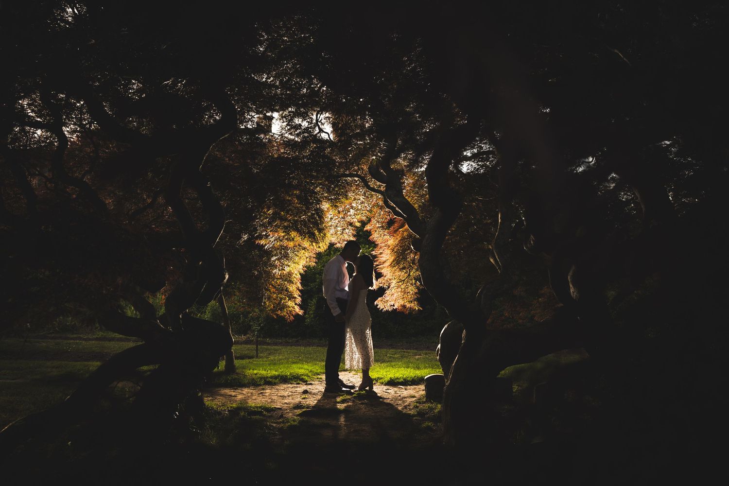 Dramatic nighttime portrait with creative lighting in a dark garden setting.