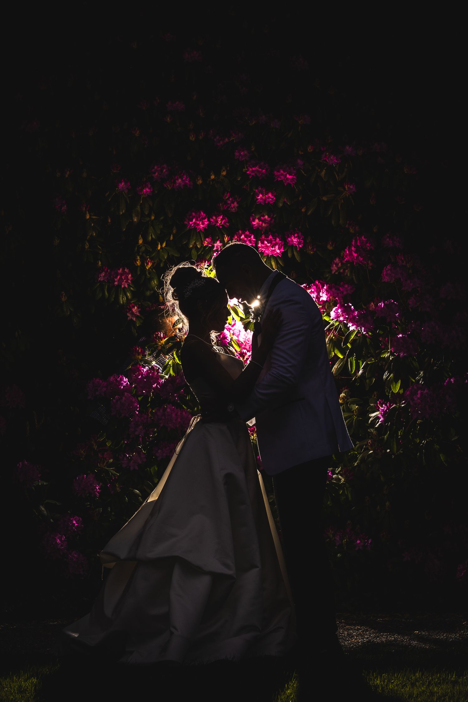 Dramatic nighttime portrait of couple with illuminated pink flowers in background.