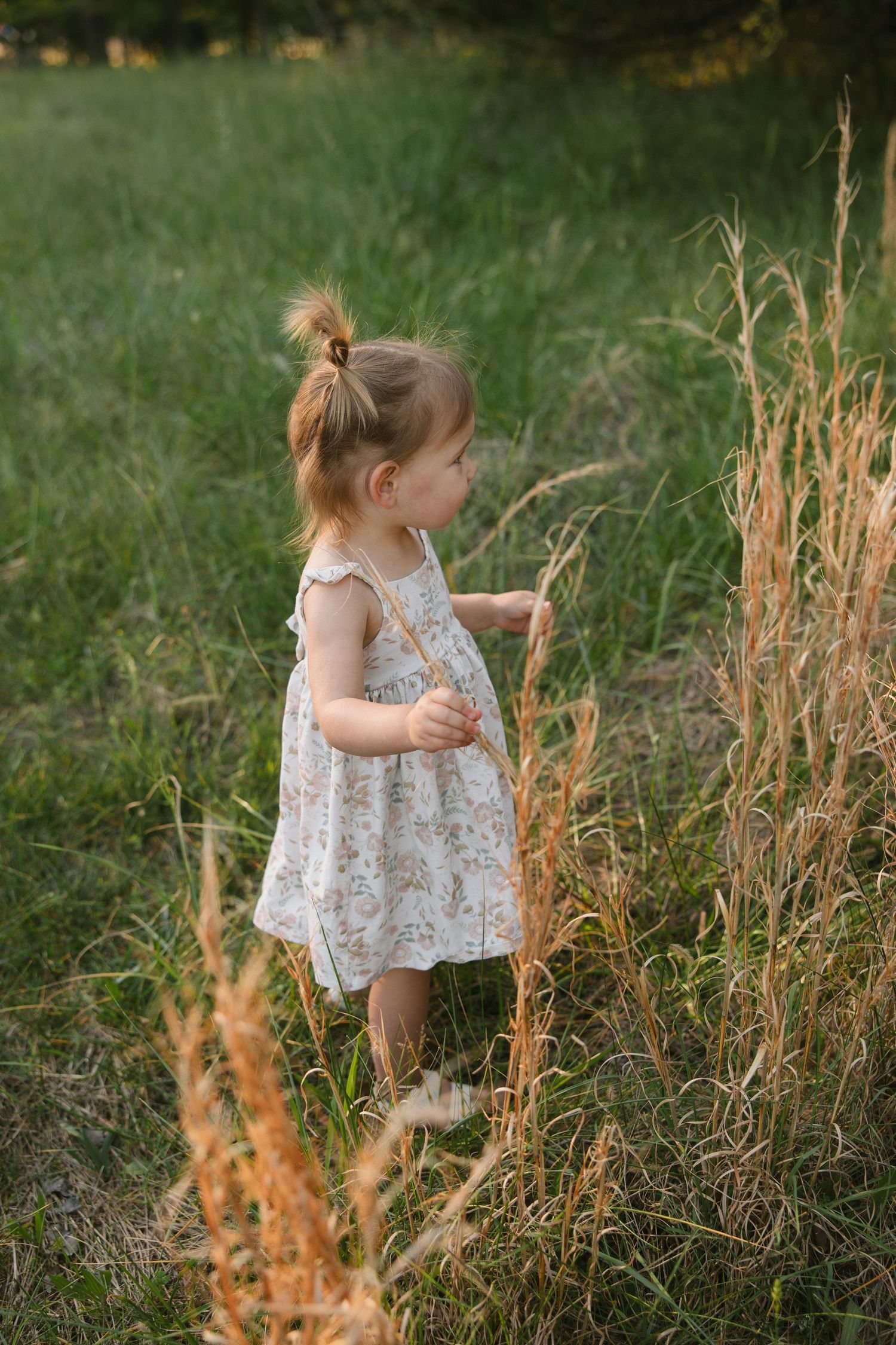A toddler girl in a floral dress explores tall golden grass in a lush green meadow.