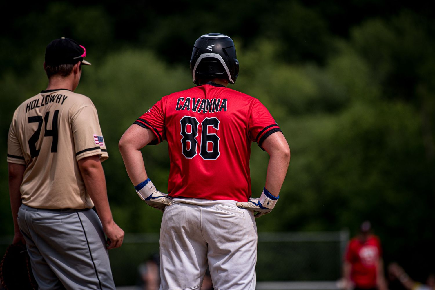 Berks Bulls, Berks PA
