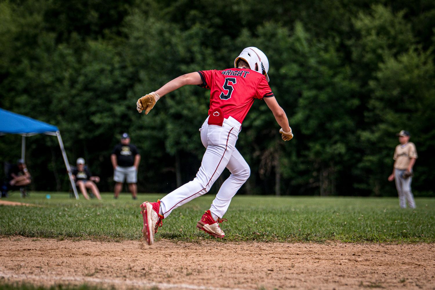 Berks Bulls, Berks PA