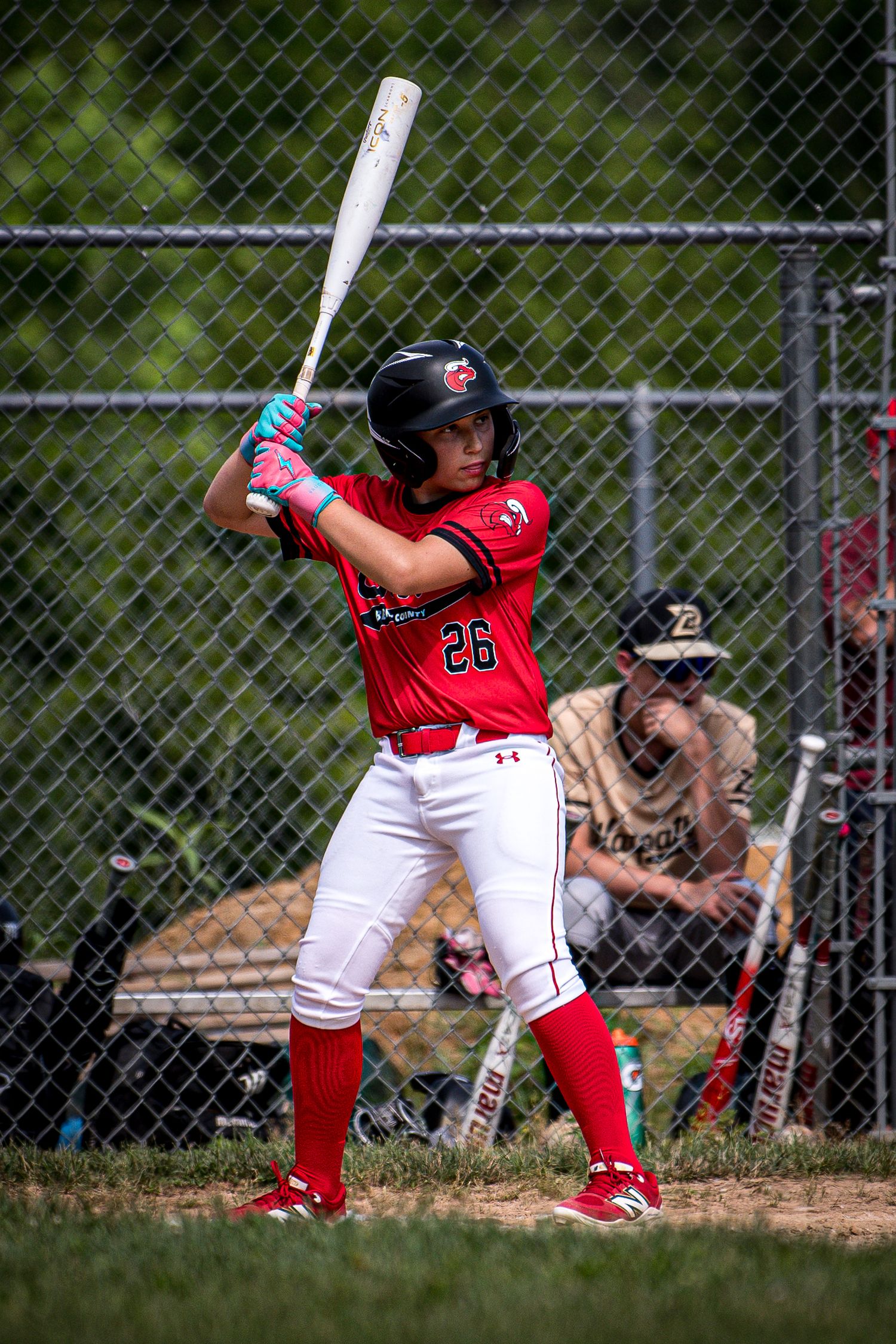 Berks Bulls, Berks PA