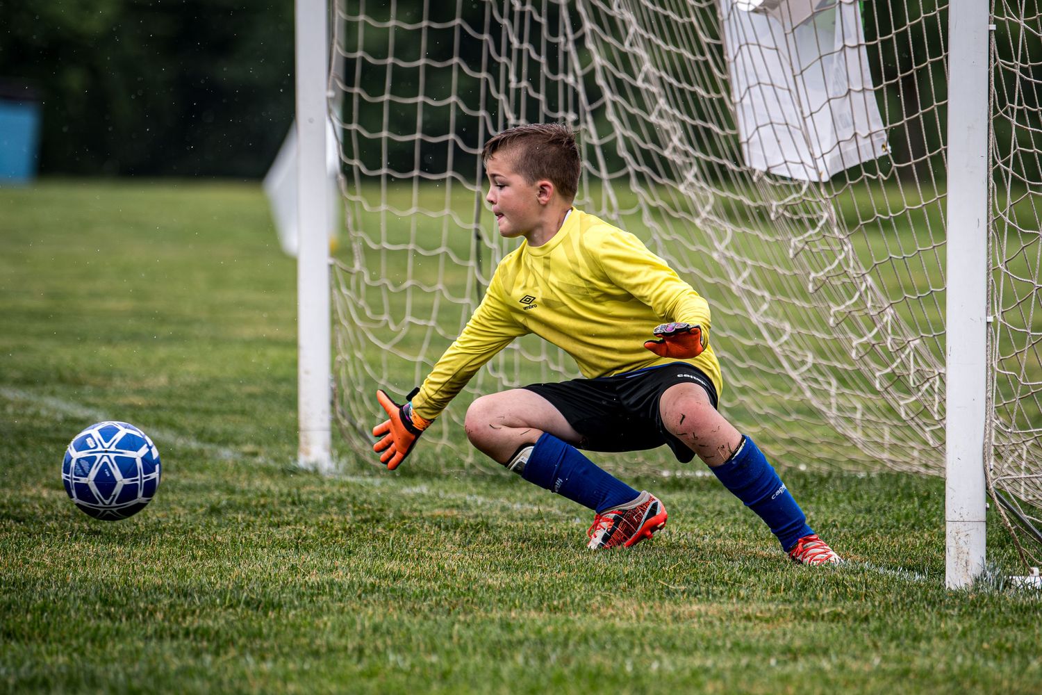 Exeter United Soccer, Reading PA