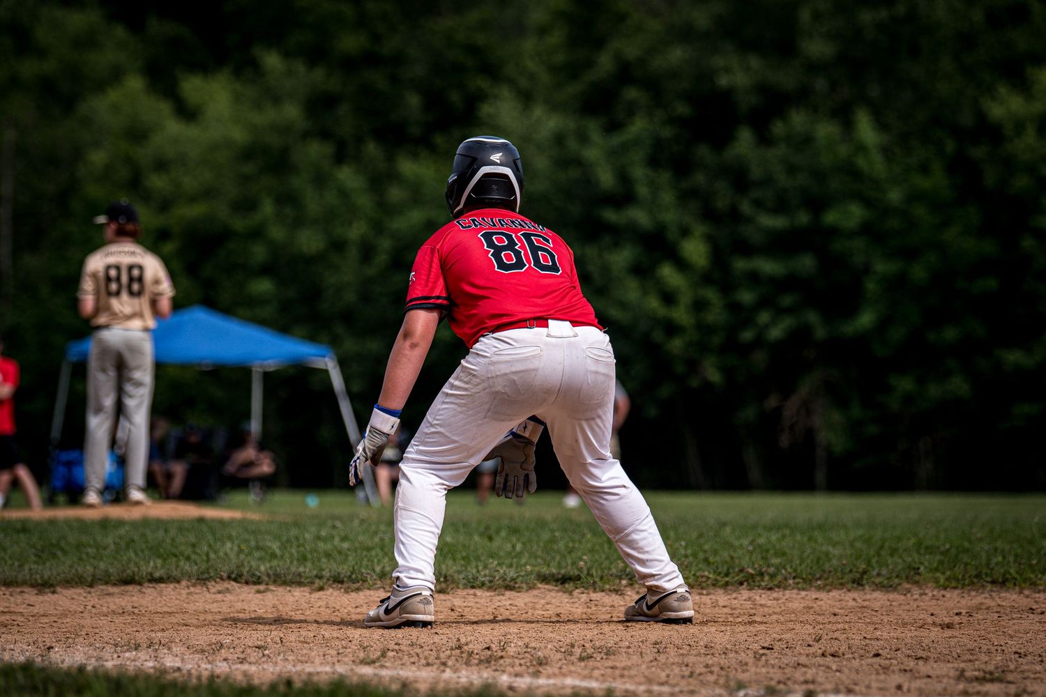 Berks Bulls, Berks PA