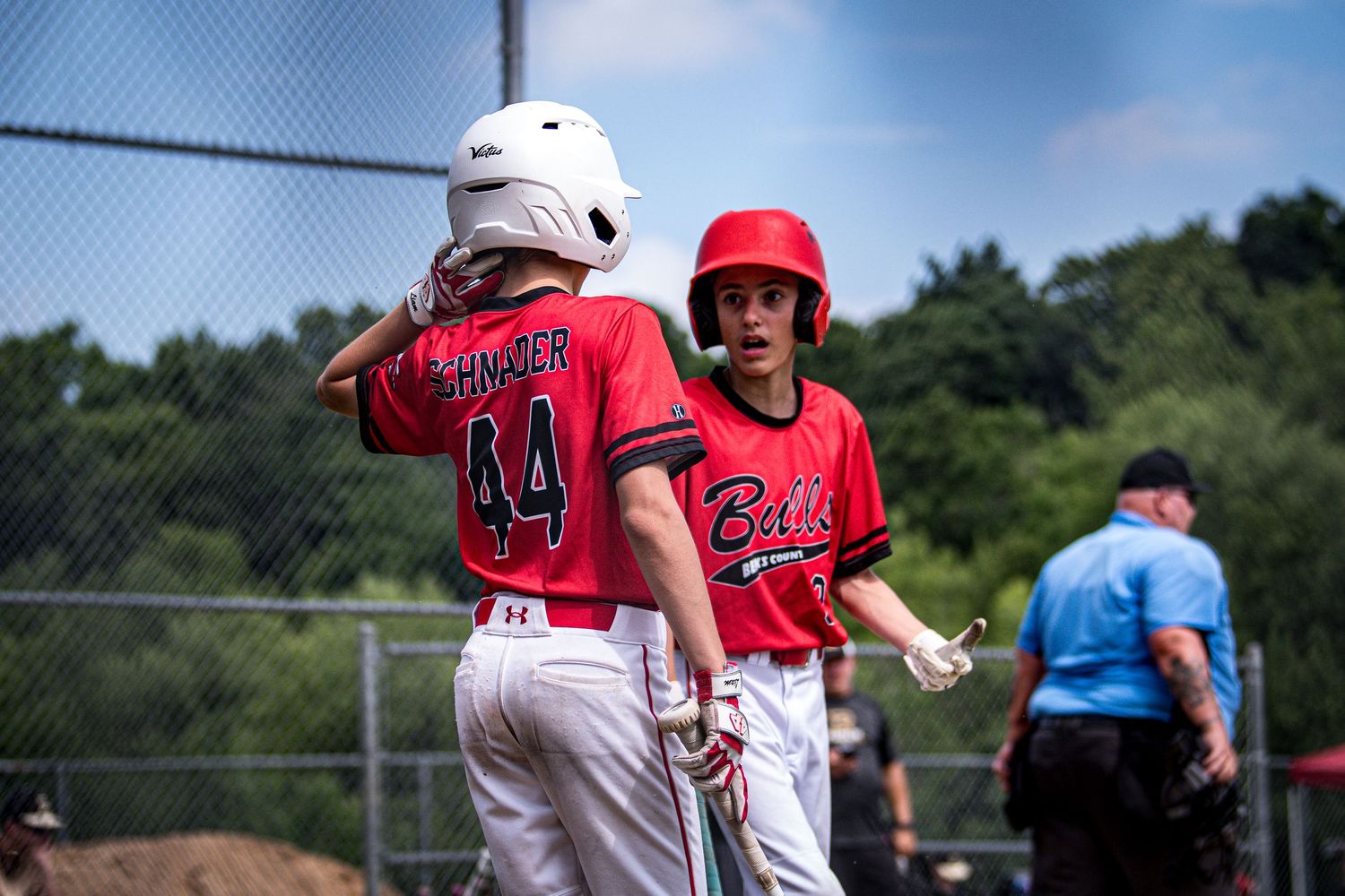Berks Bulls, Berks PA