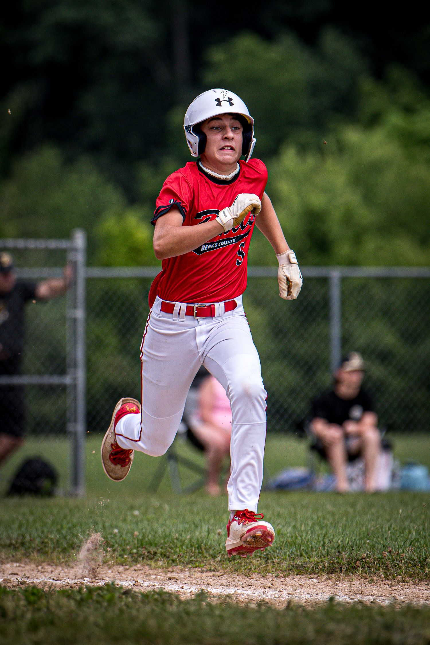 Berks Bulls, Berks PA