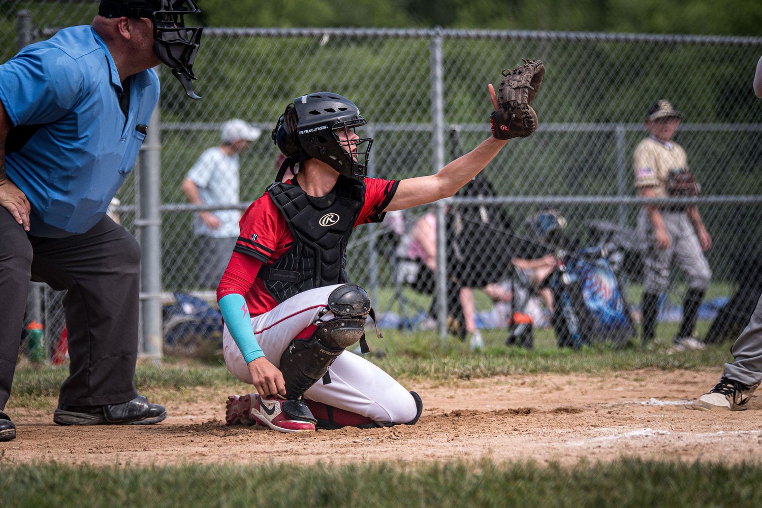 Berks Bulls, Berks PA