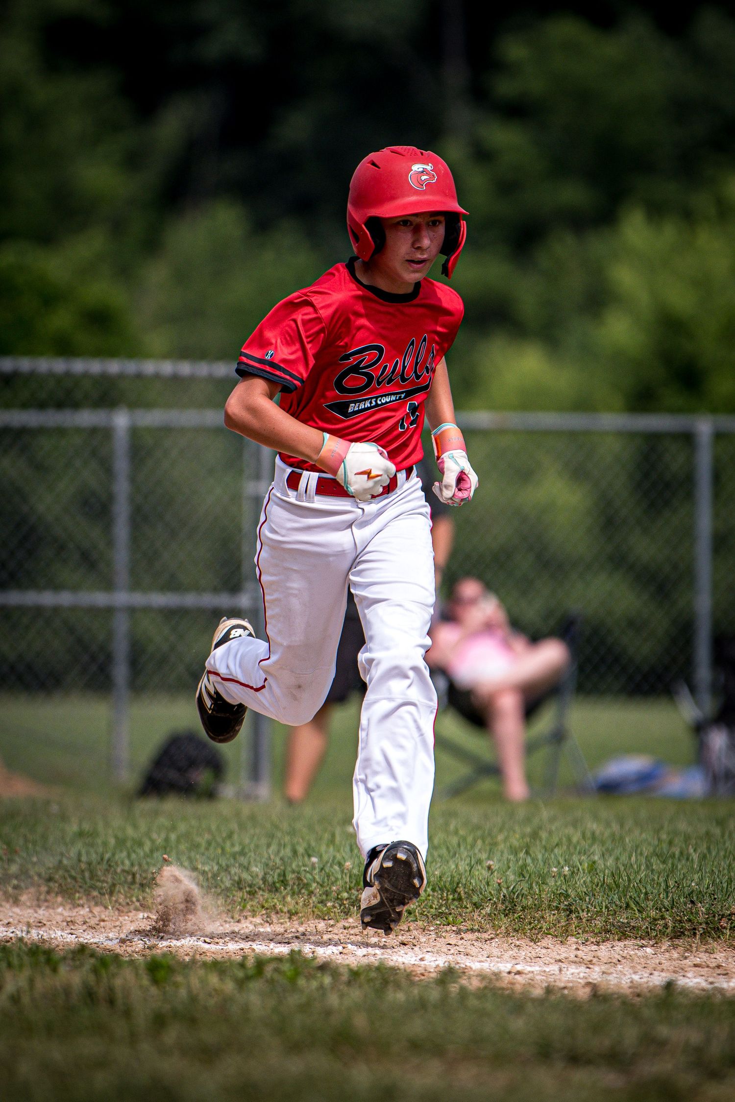 Berks Bulls, Berks PA