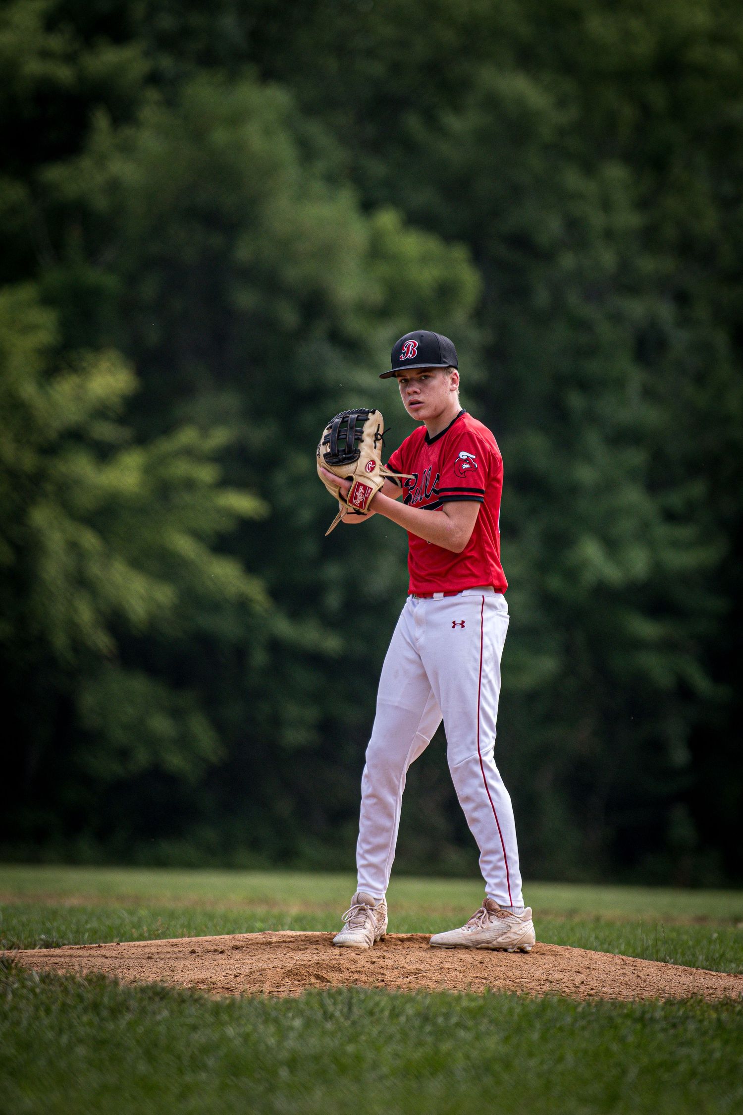 Berks Bulls, Berks PA