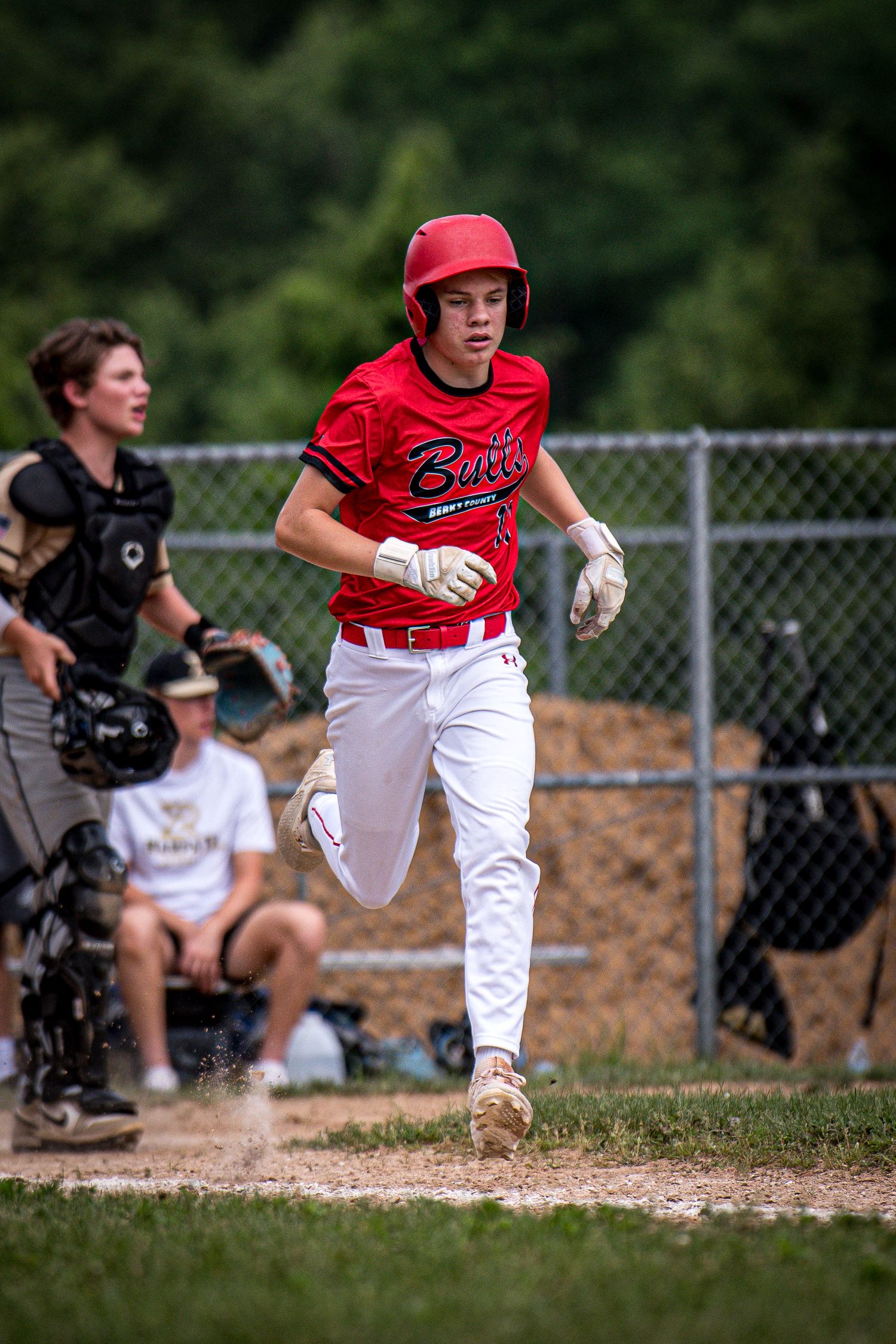Berks Bulls, Berks PA
