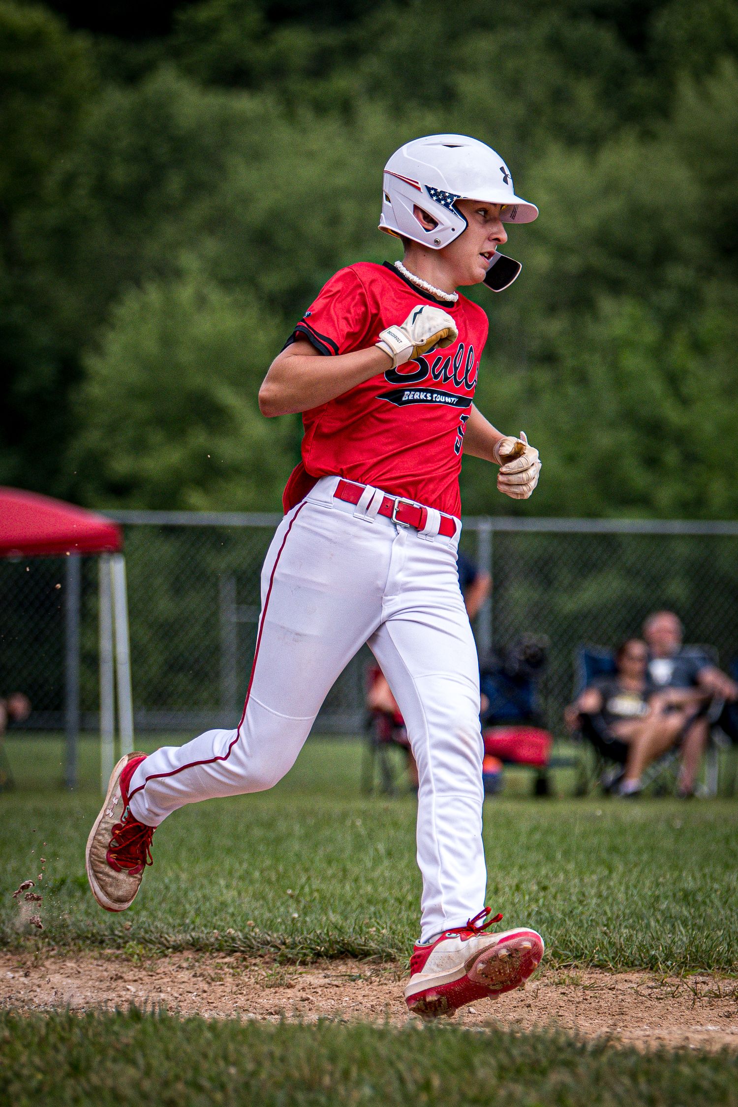 Berks Bulls, Berks PA