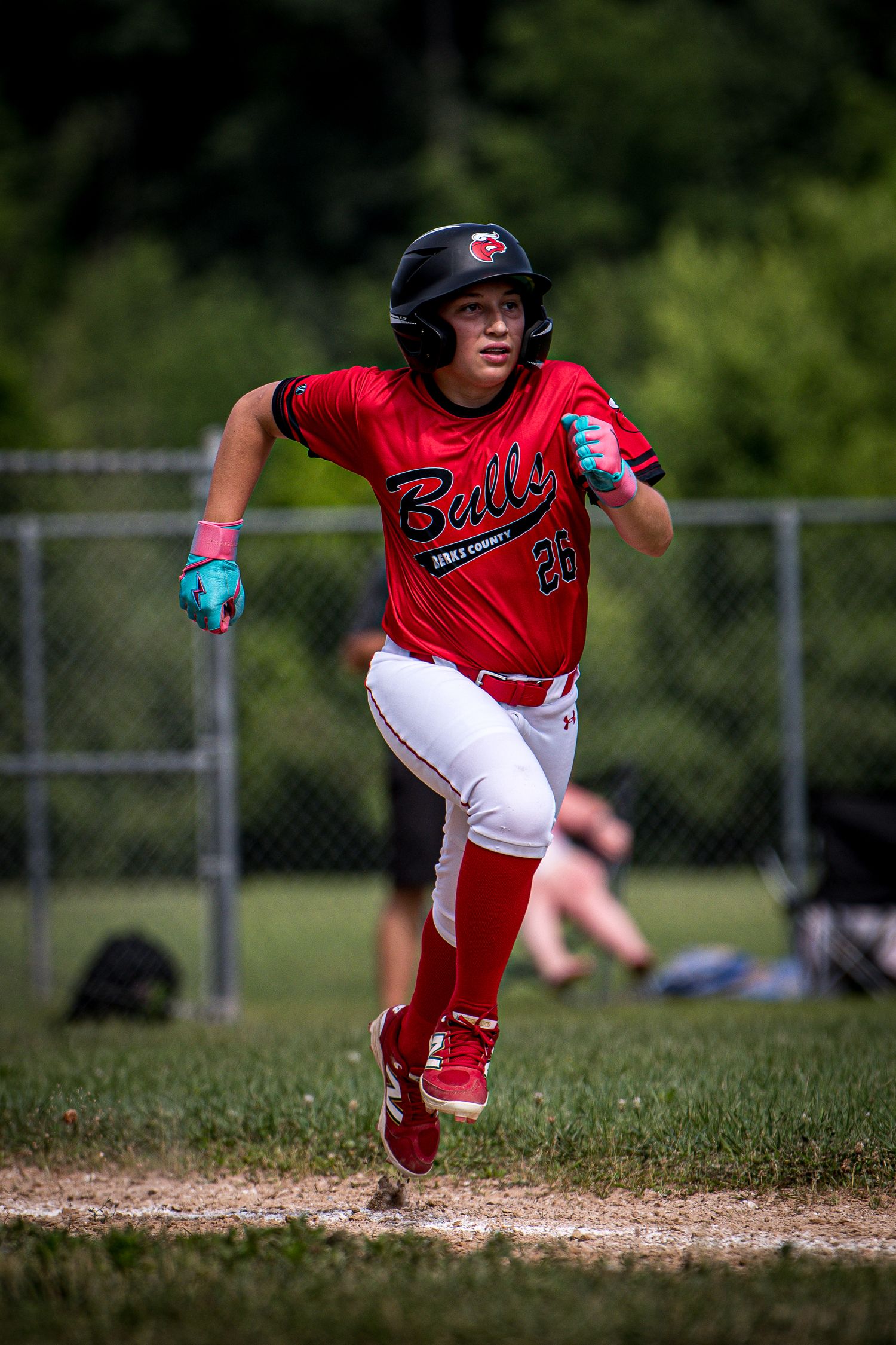 Berks Bulls, Berks PA