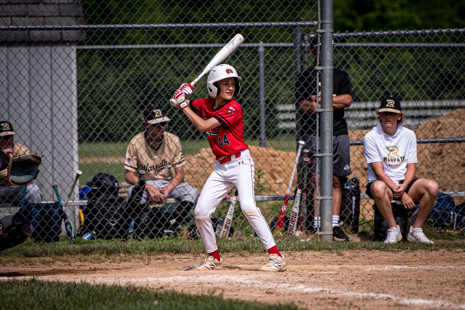Berks Bulls, Berks PA