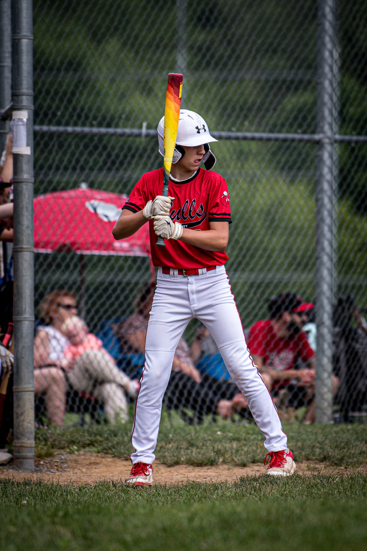 Berks Bulls, Berks PA