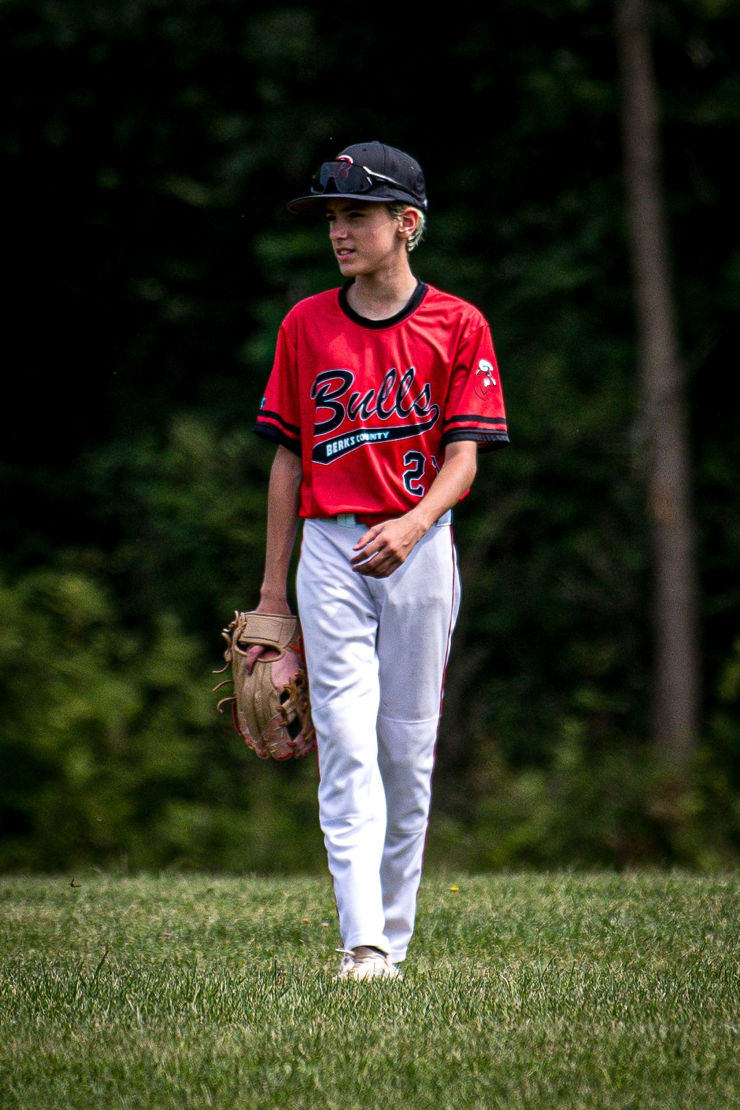 Berks Bulls, Berks PA