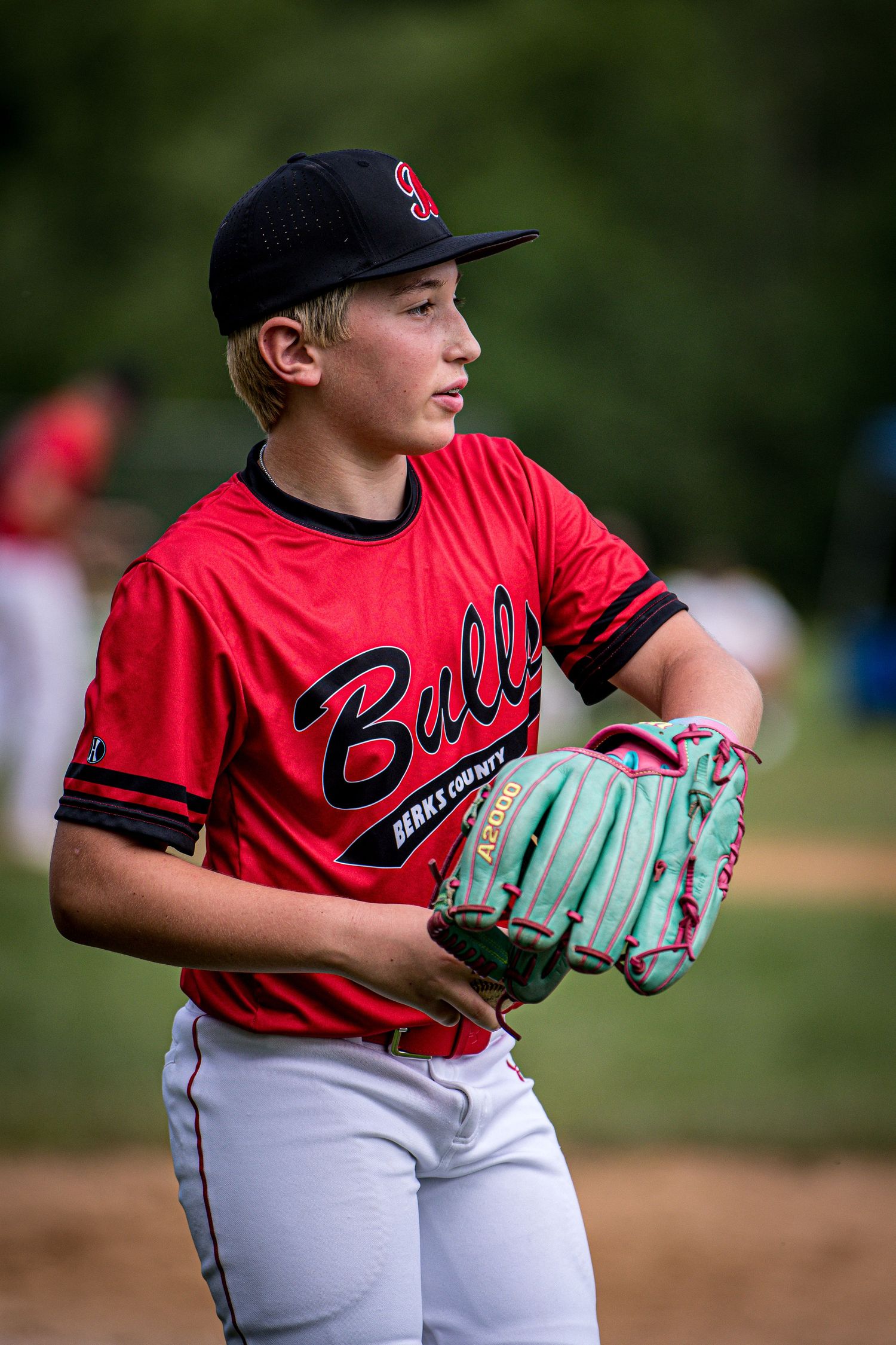 Berks Bulls, Berks PA