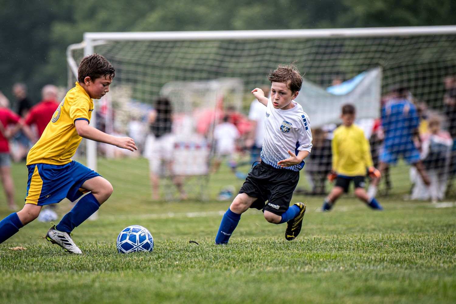 Exeter United Soccer, Reading PA