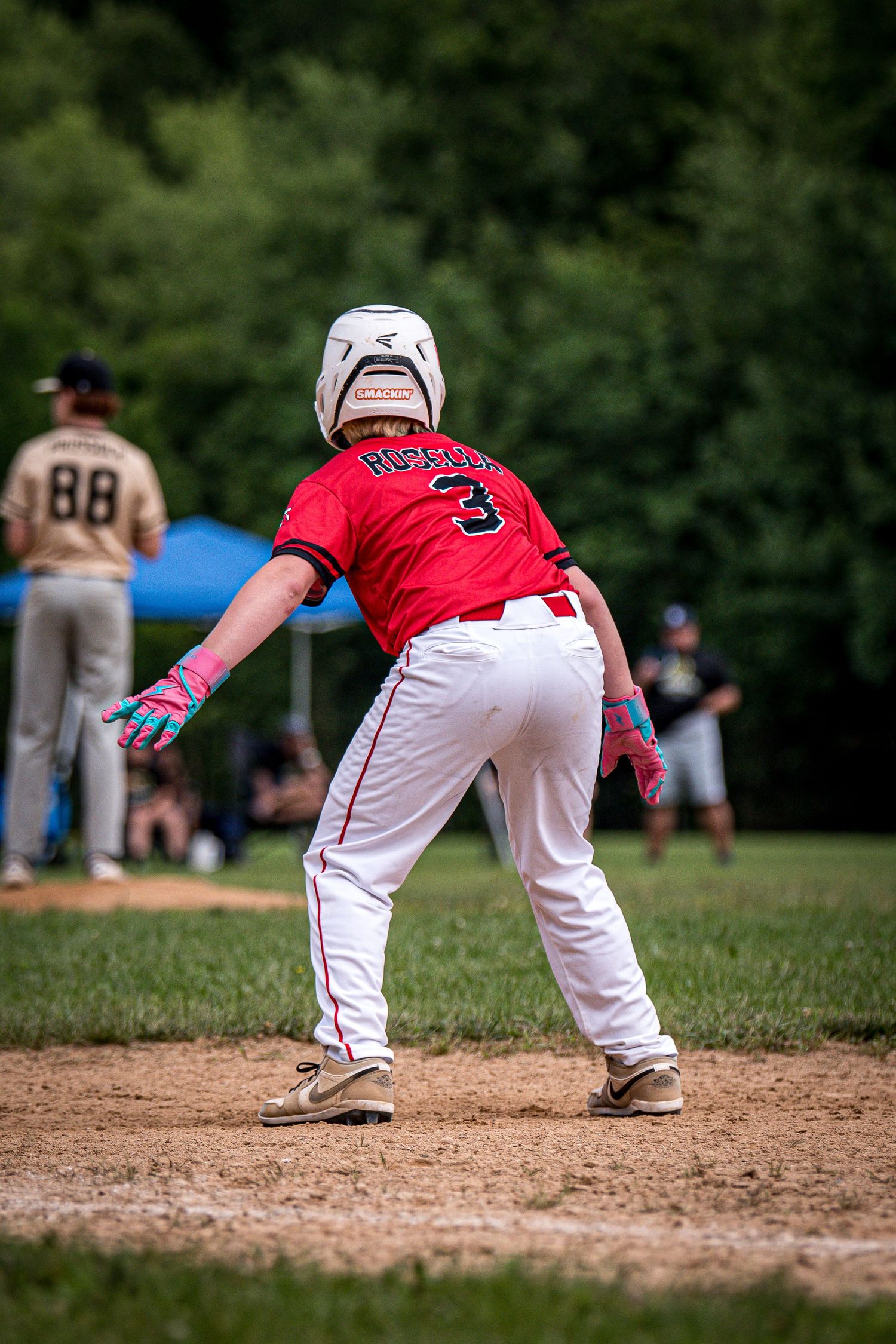 Berks Bulls, Berks PA