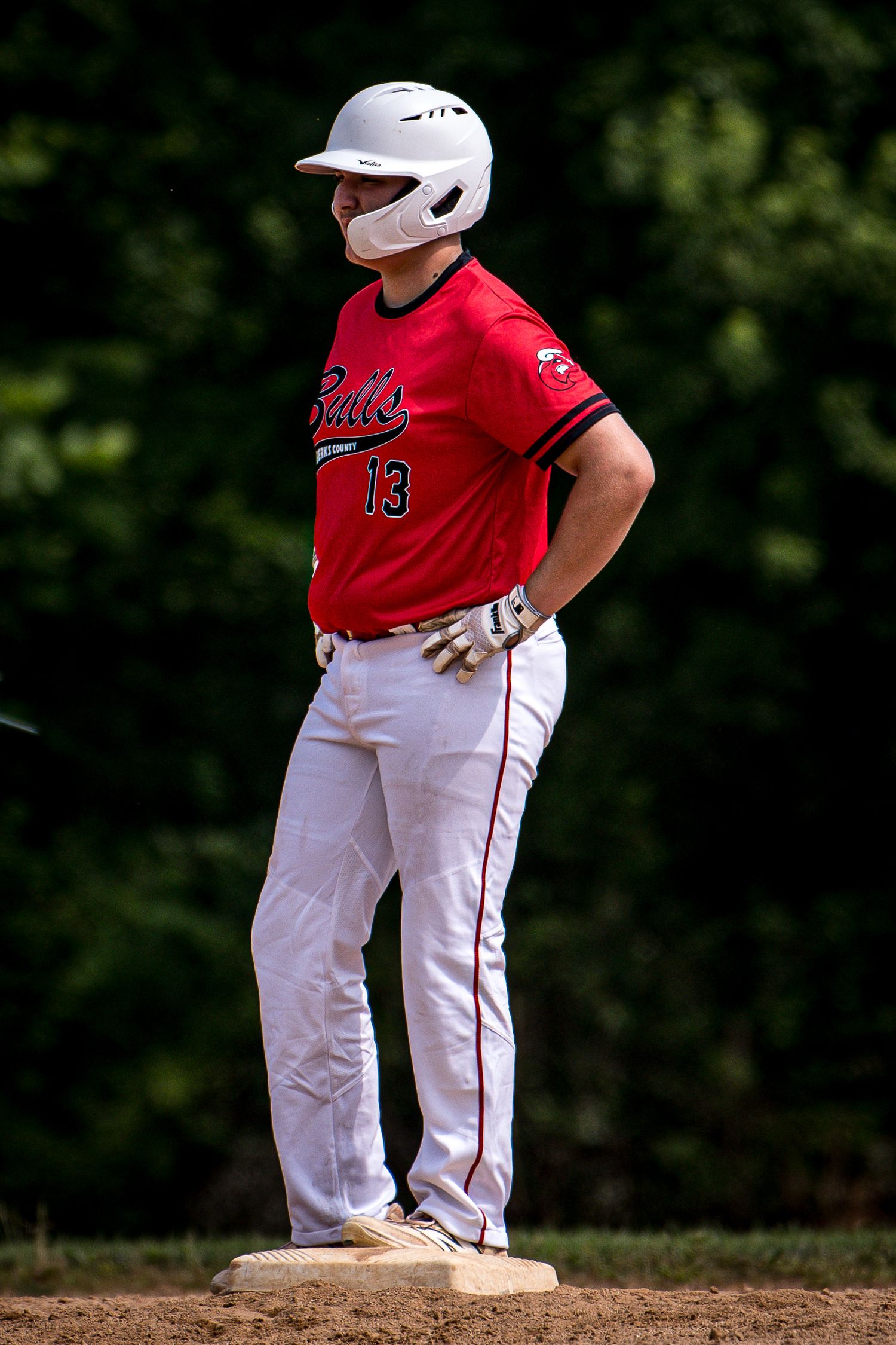 Berks Bulls, Berks PA