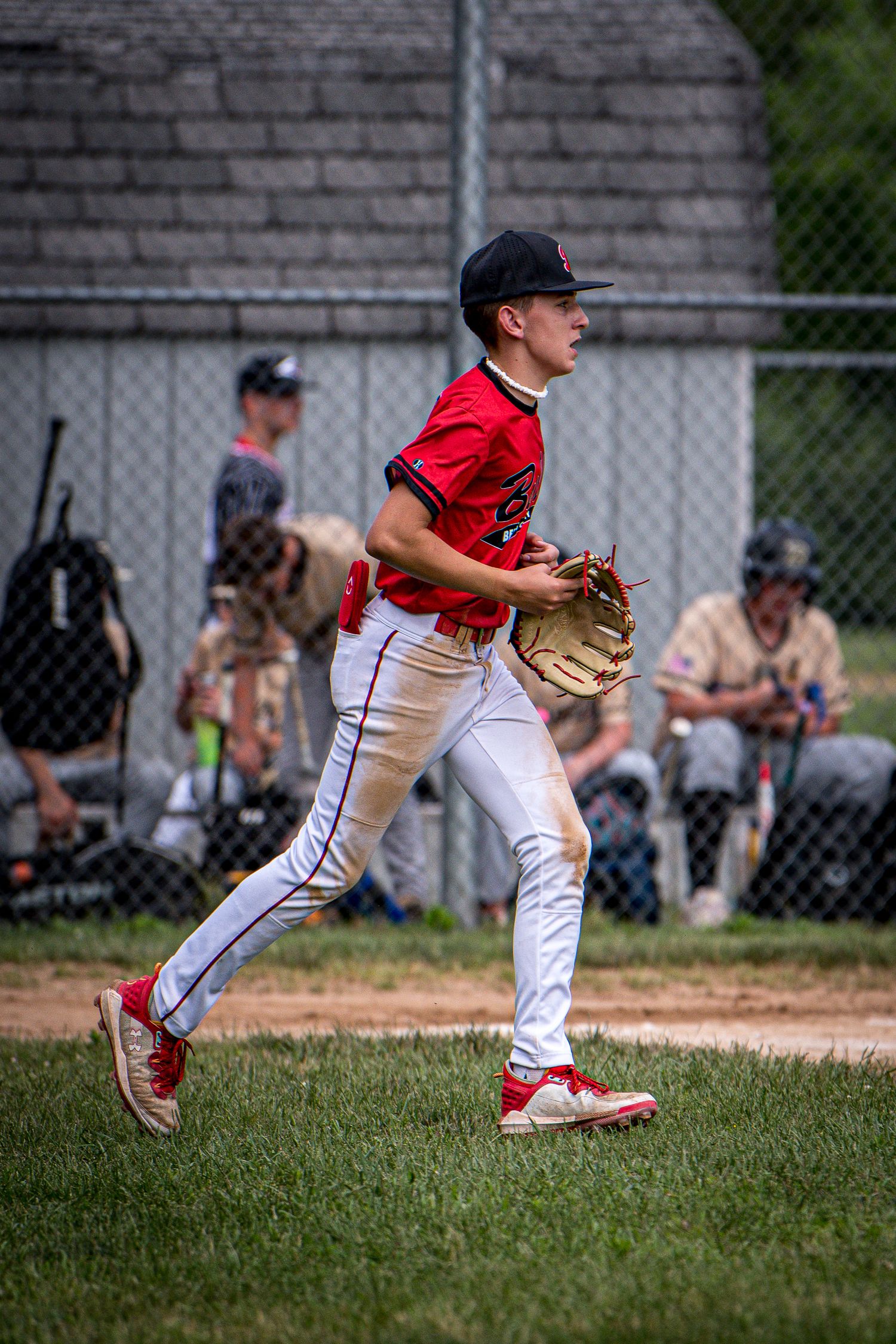 Berks Bulls, Berks PA