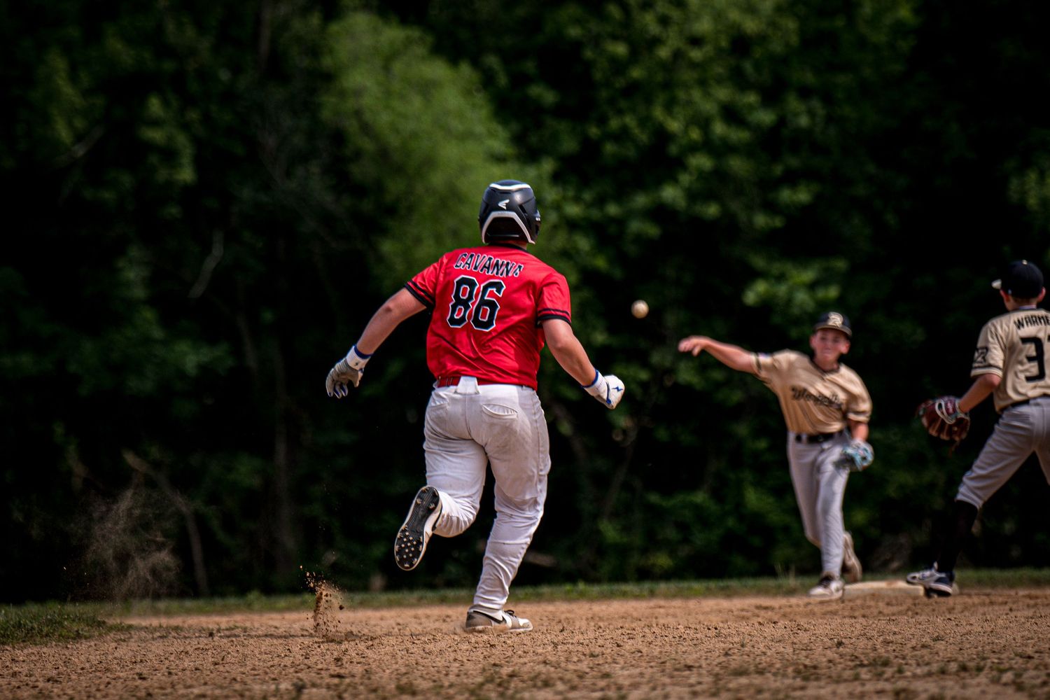 Berks Bulls
