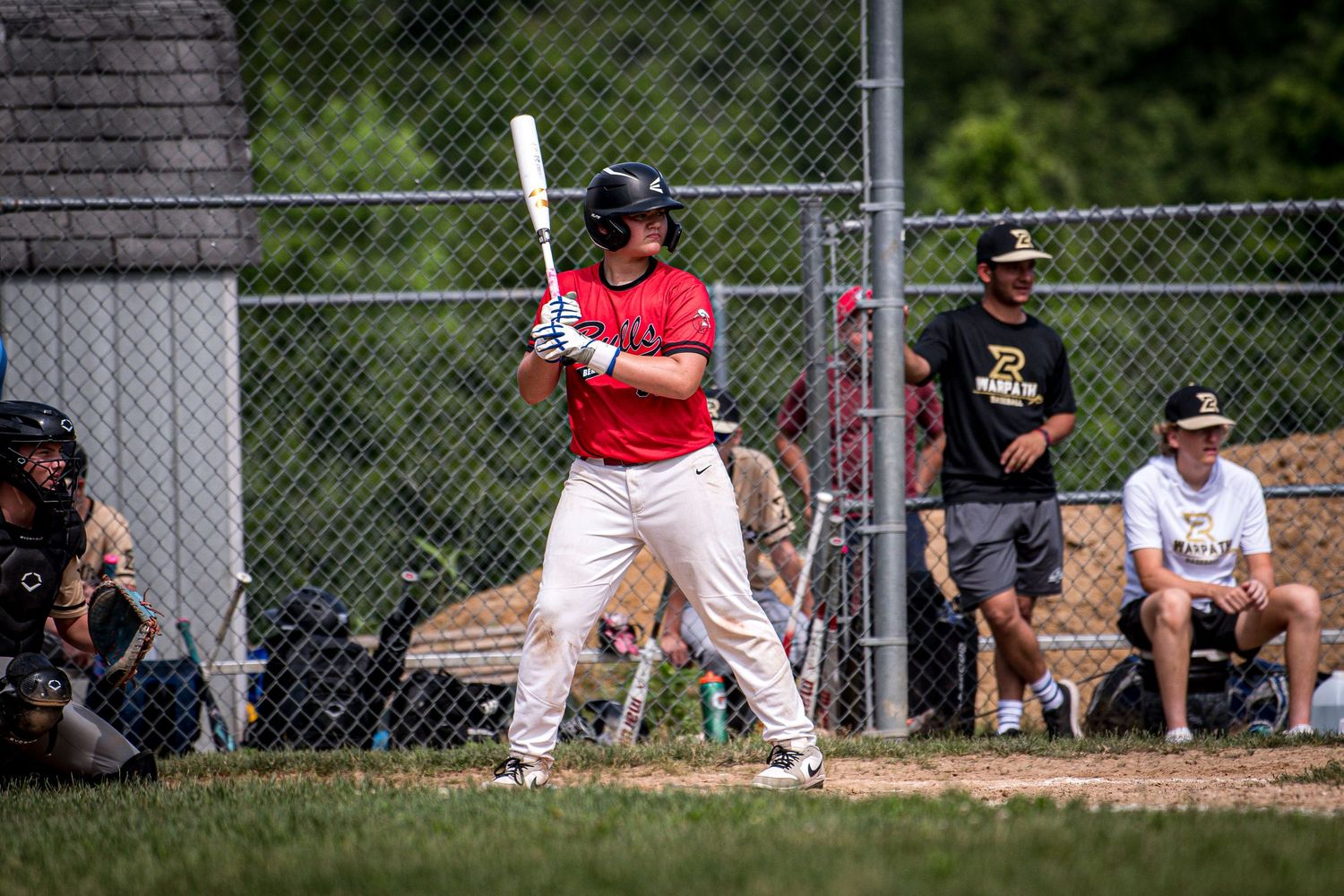 Berks Bulls, Berks PA