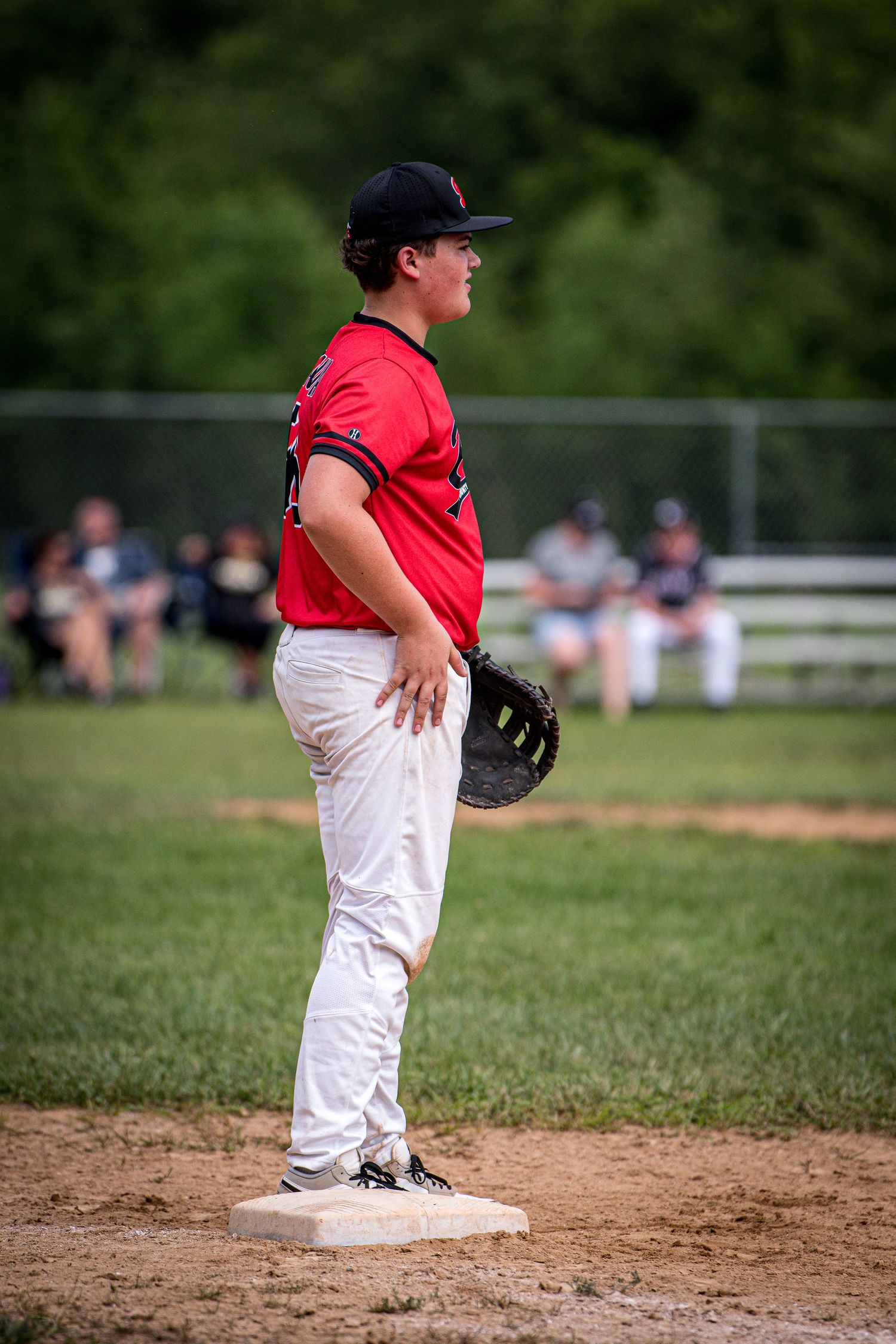 Berks Bulls, Berks PA